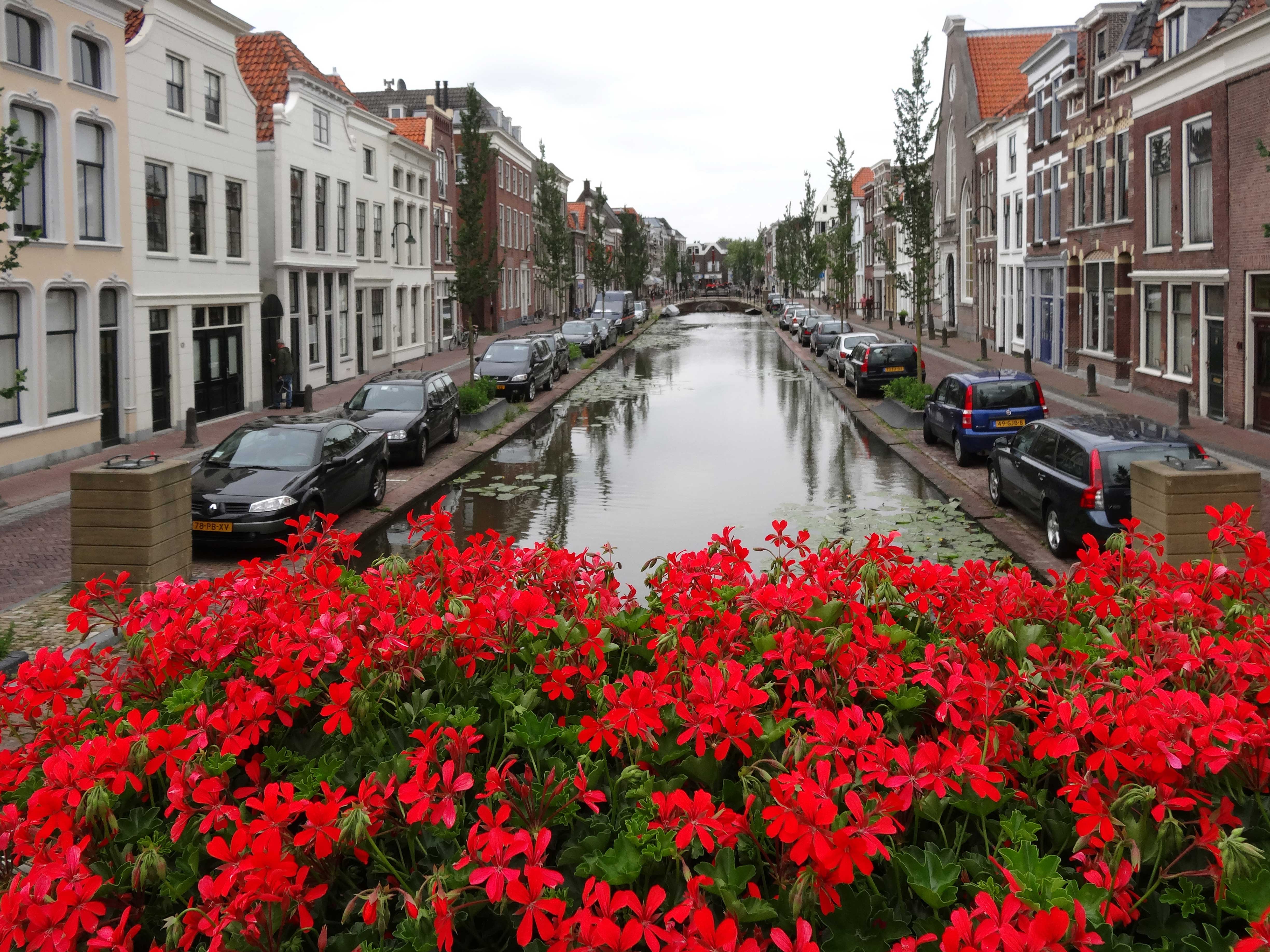 Free download high resolution image - free image free photo free stock image public domain picture -old bridge flower and river