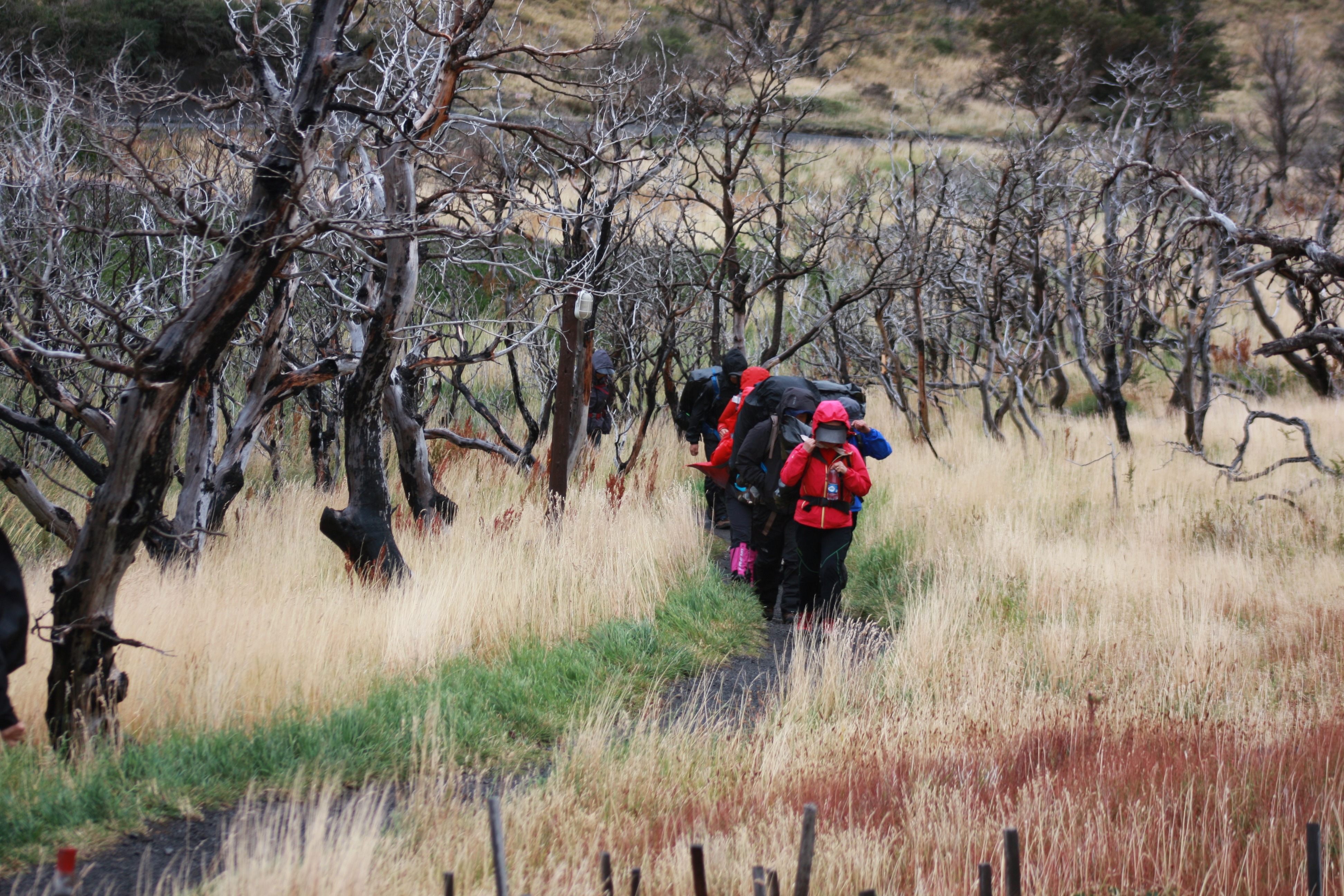 Free download high resolution image - free image free photo free stock image public domain picture -Hiker in Patagonia