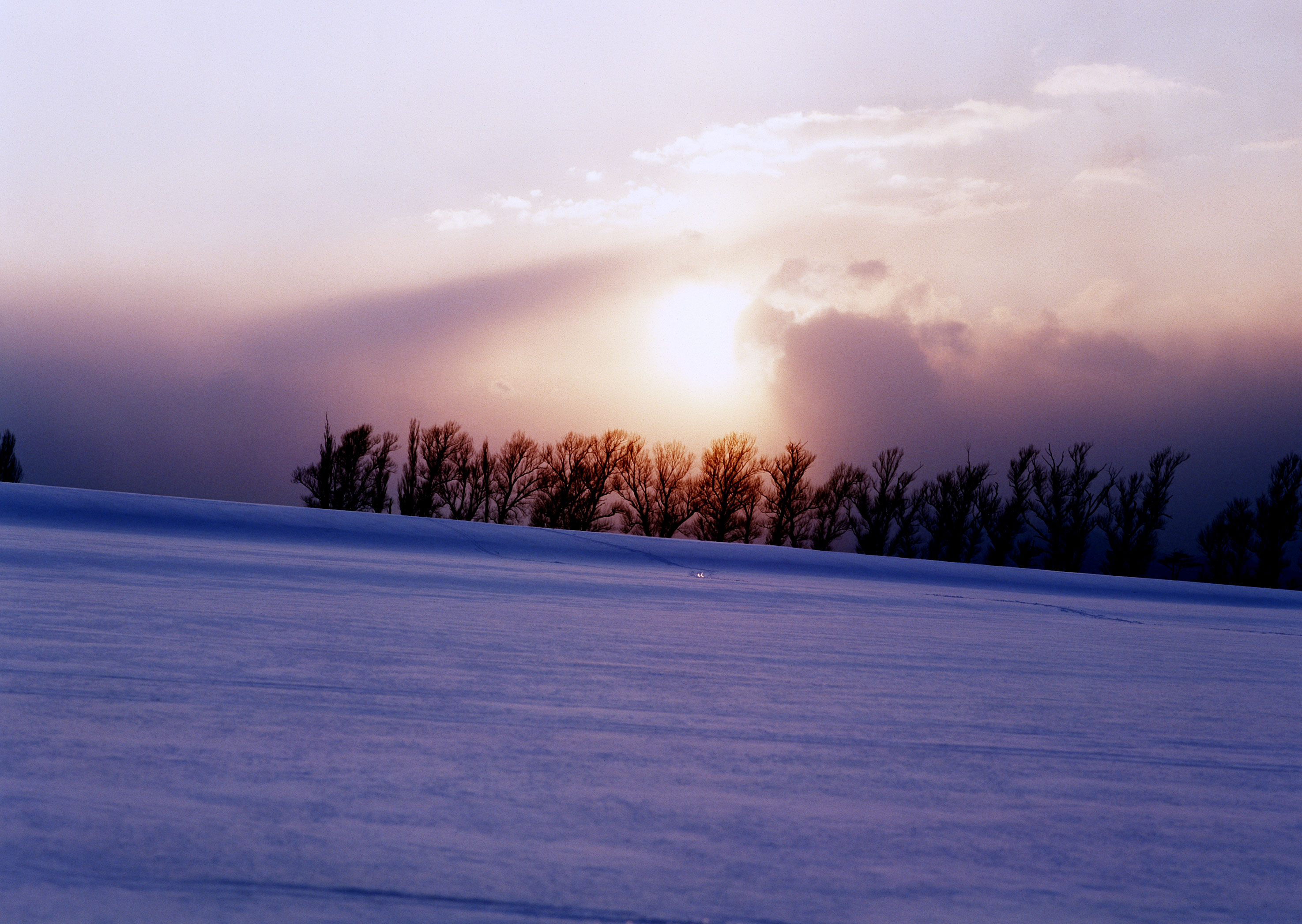 Free download high resolution image - free image free photo free stock image public domain picture -early spring, Hokkaido, Japan