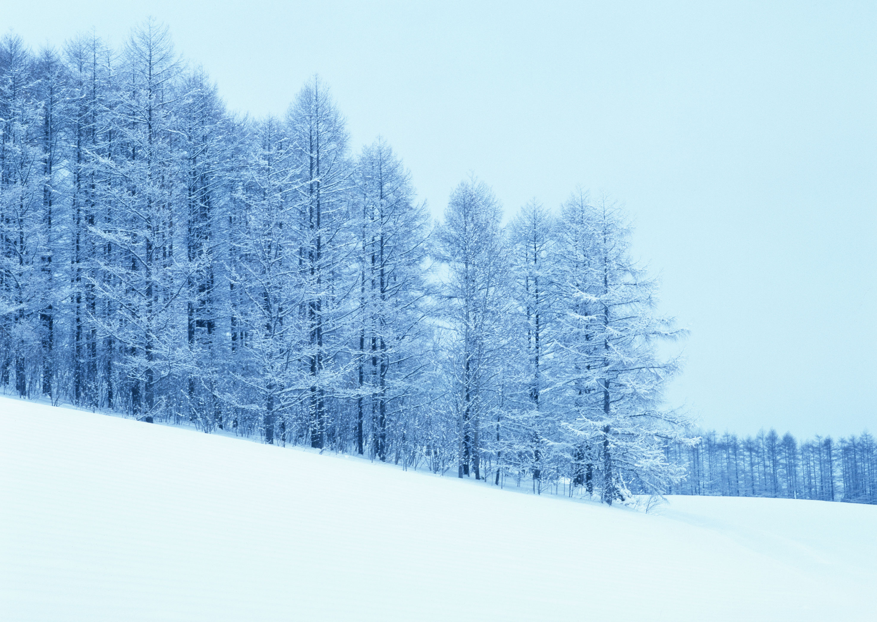 Free download high resolution image - free image free photo free stock image public domain picture -Snow on the montain, Hokaido