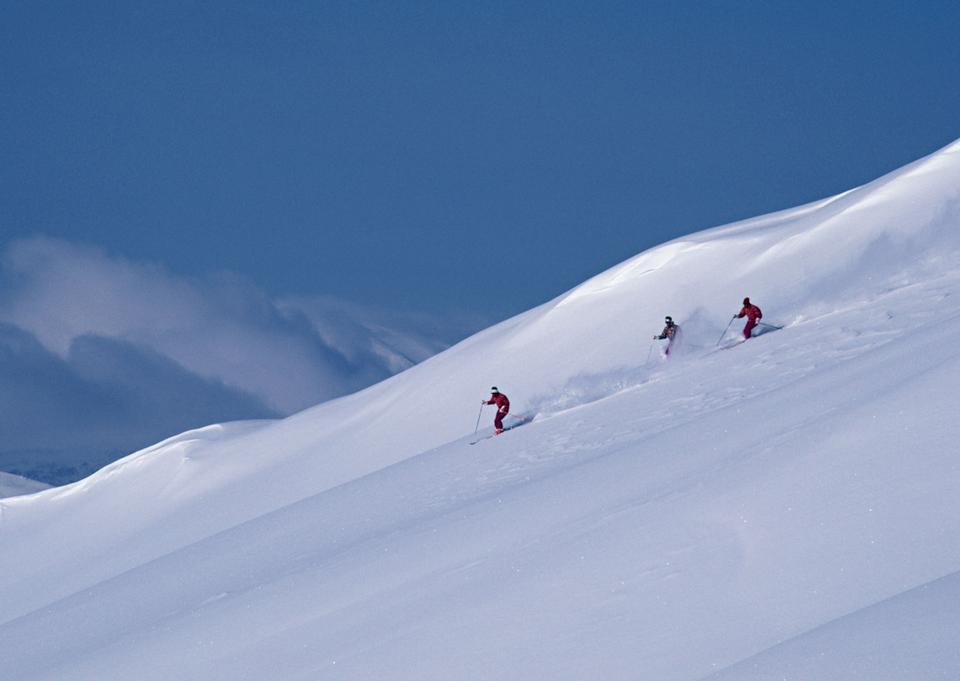 Free download high resolution image - free image free photo free stock image public domain picture  skier skiing on fresh powder snow