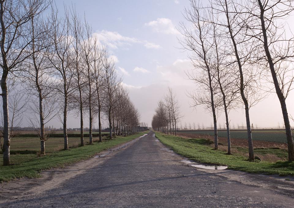 Free download high resolution image - free image free photo free stock image public domain picture  Tree lined country road