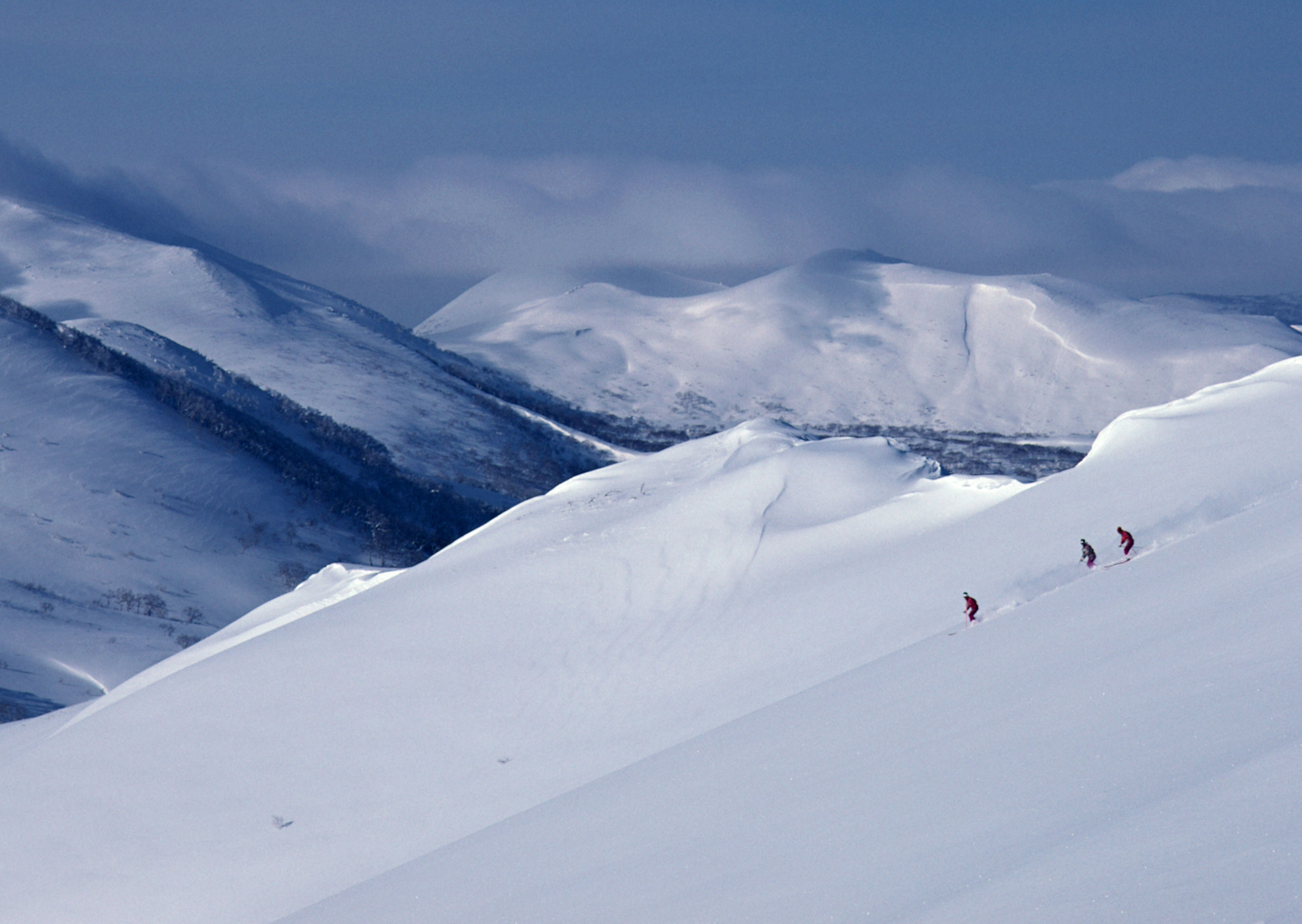 Free download high resolution image - free image free photo free stock image public domain picture -skier skiing on fresh powder snow