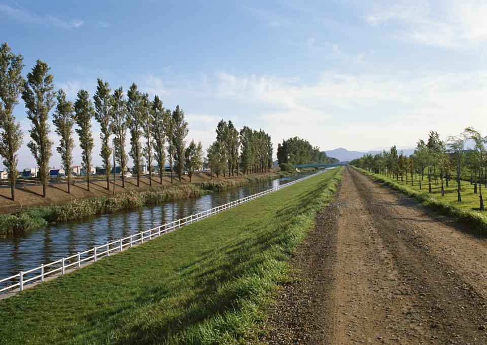 Free download high resolution image - free image free photo free stock image public domain picture  a small river, reeds and a country road