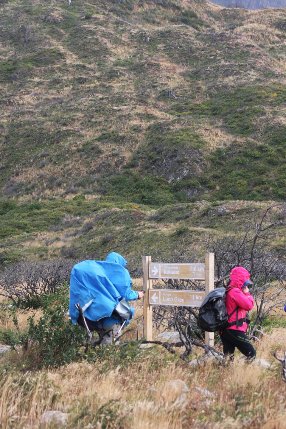 Free download high resolution image - free image free photo free stock image public domain picture  People trekking to see Horns of Paine in Torres Del Paine