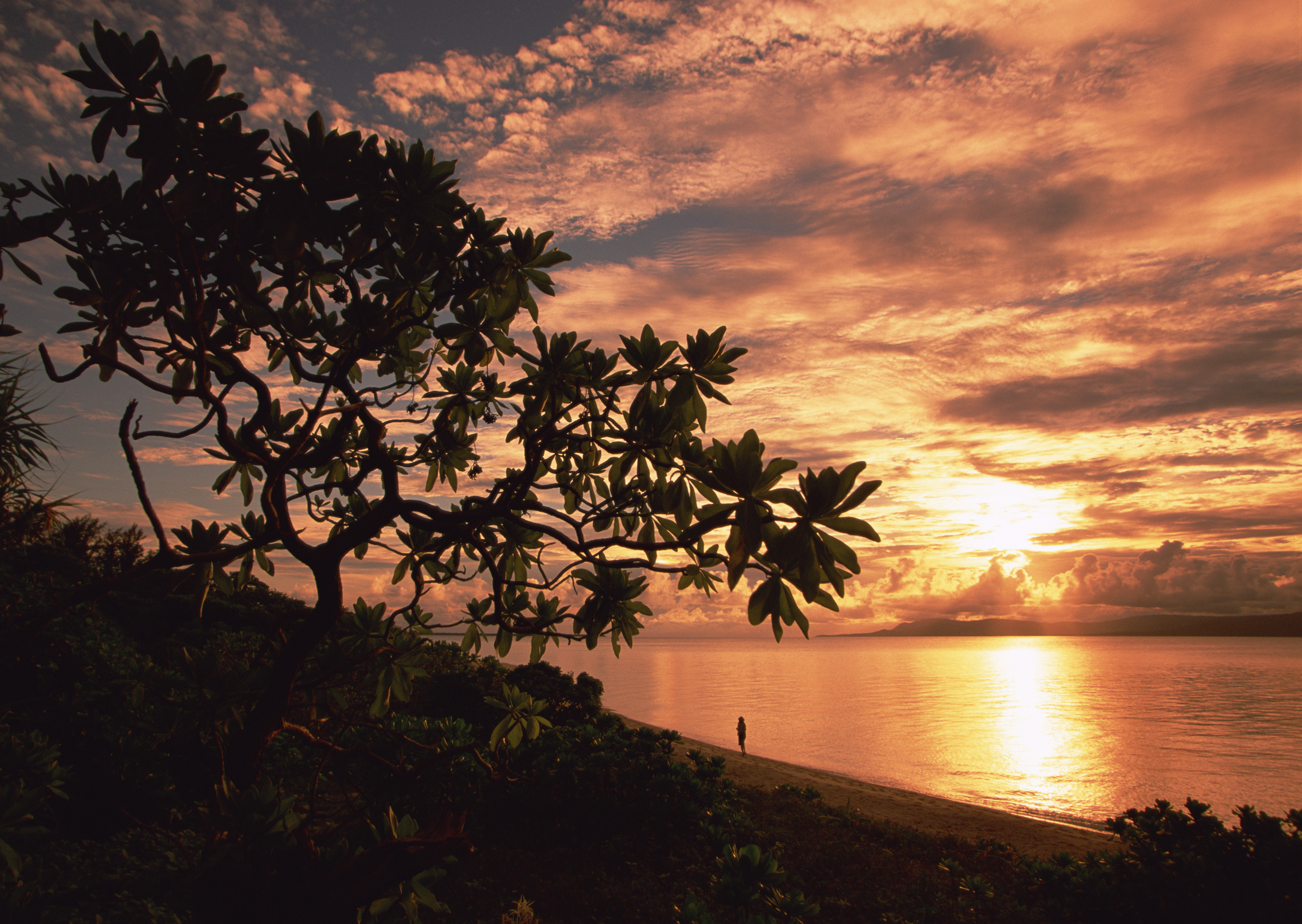 Free download high resolution image - free image free photo free stock image public domain picture -girl at Sunset