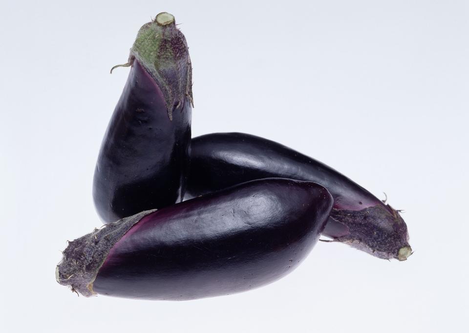 Free download high resolution image - free image free photo free stock image public domain picture  eggplant or aubergine vegetable on white background