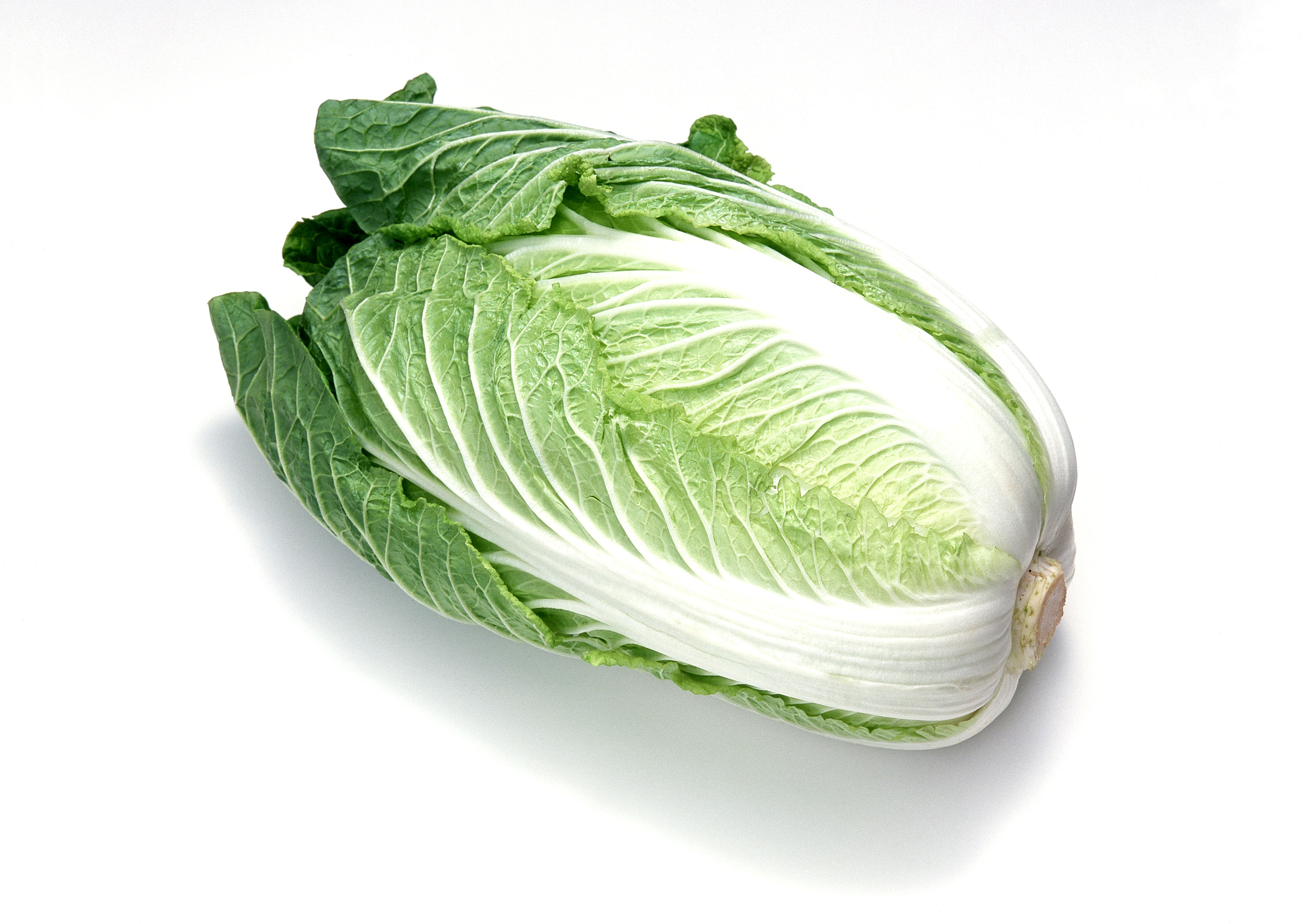 Free download high resolution image - free image free photo free stock image public domain picture -Chinese cabbage