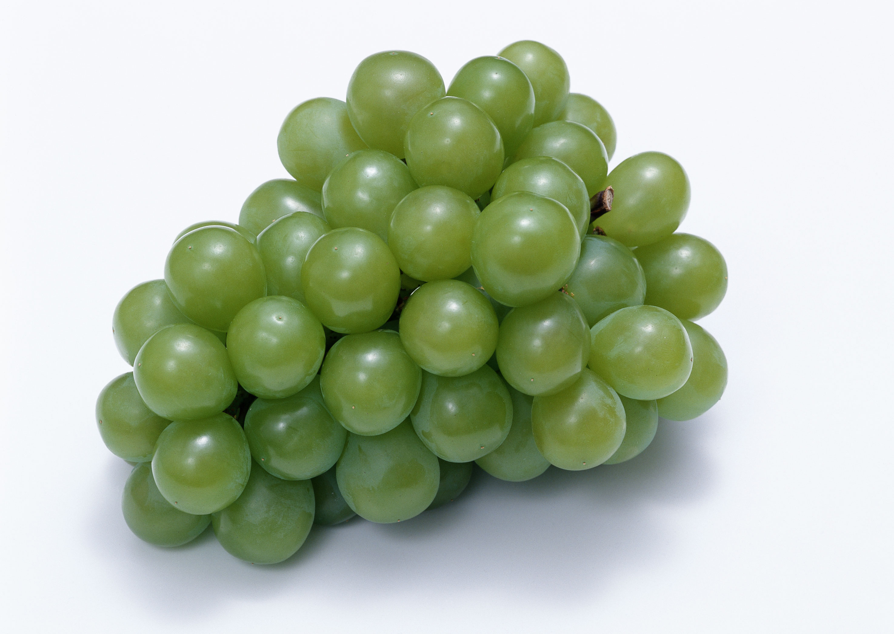 Free download high resolution image - free image free photo free stock image public domain picture -Fresh green grapes. Isolated on white