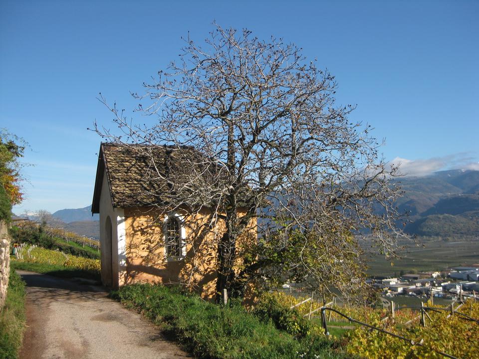 Free download high resolution image - free image free photo free stock image public domain picture  Wayside chapel in Rungg at Tramin