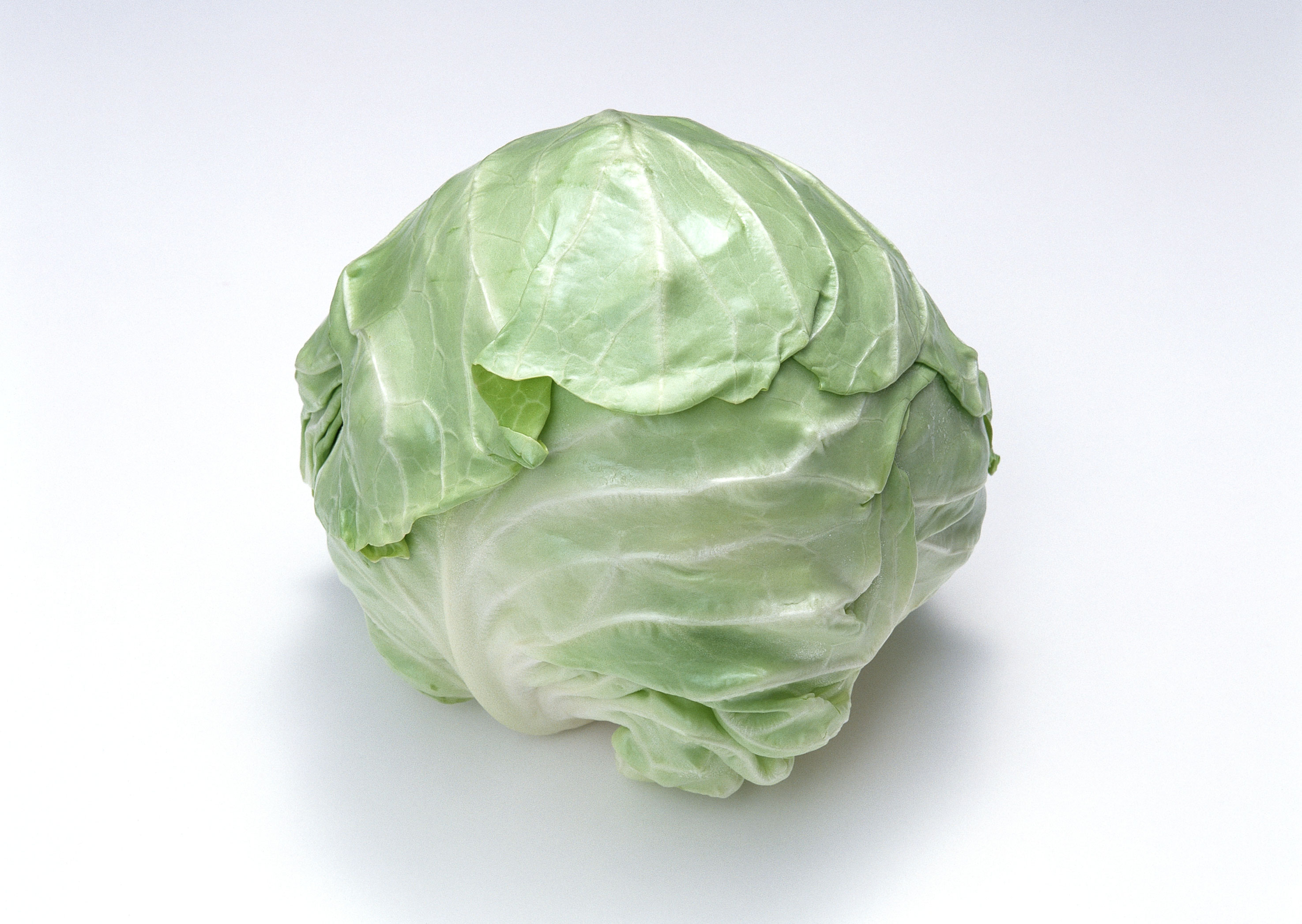 Free download high resolution image - free image free photo free stock image public domain picture -Cabbage