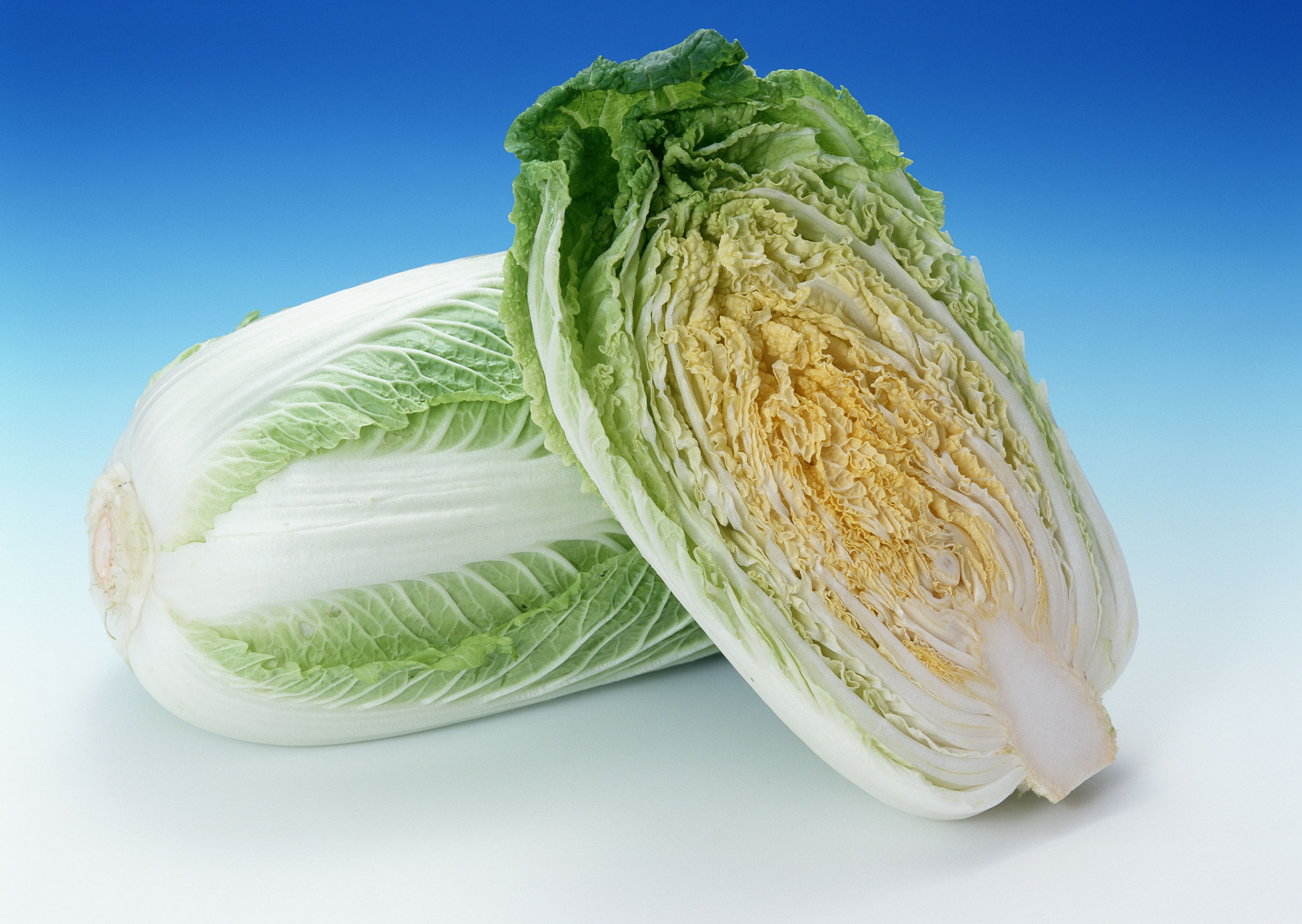 Free download high resolution image - free image free photo free stock image public domain picture -fresh chinese cabbage and a cut one on a white background