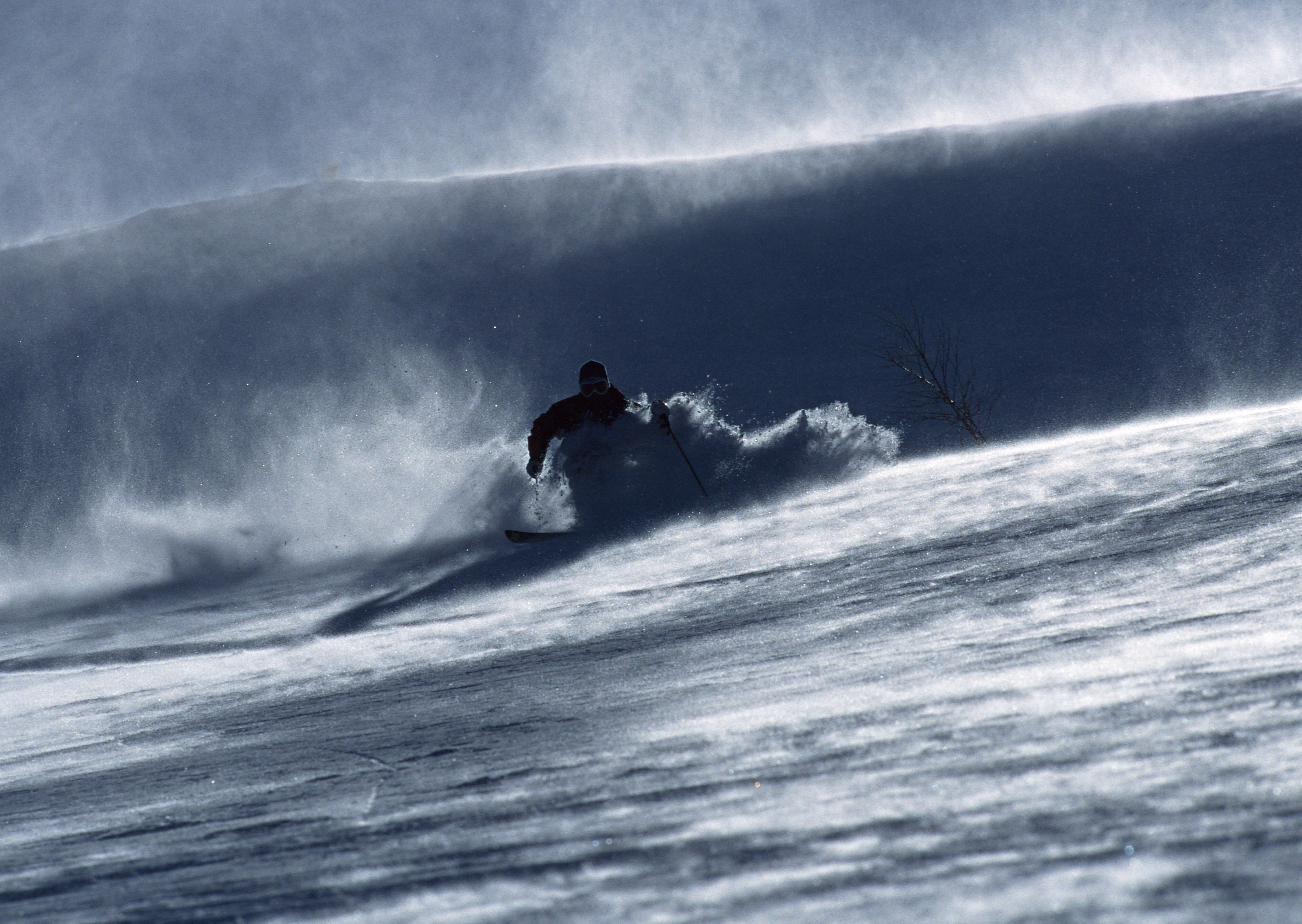 Free download high resolution image - free image free photo free stock image public domain picture -skier in deep powder on a steep slope