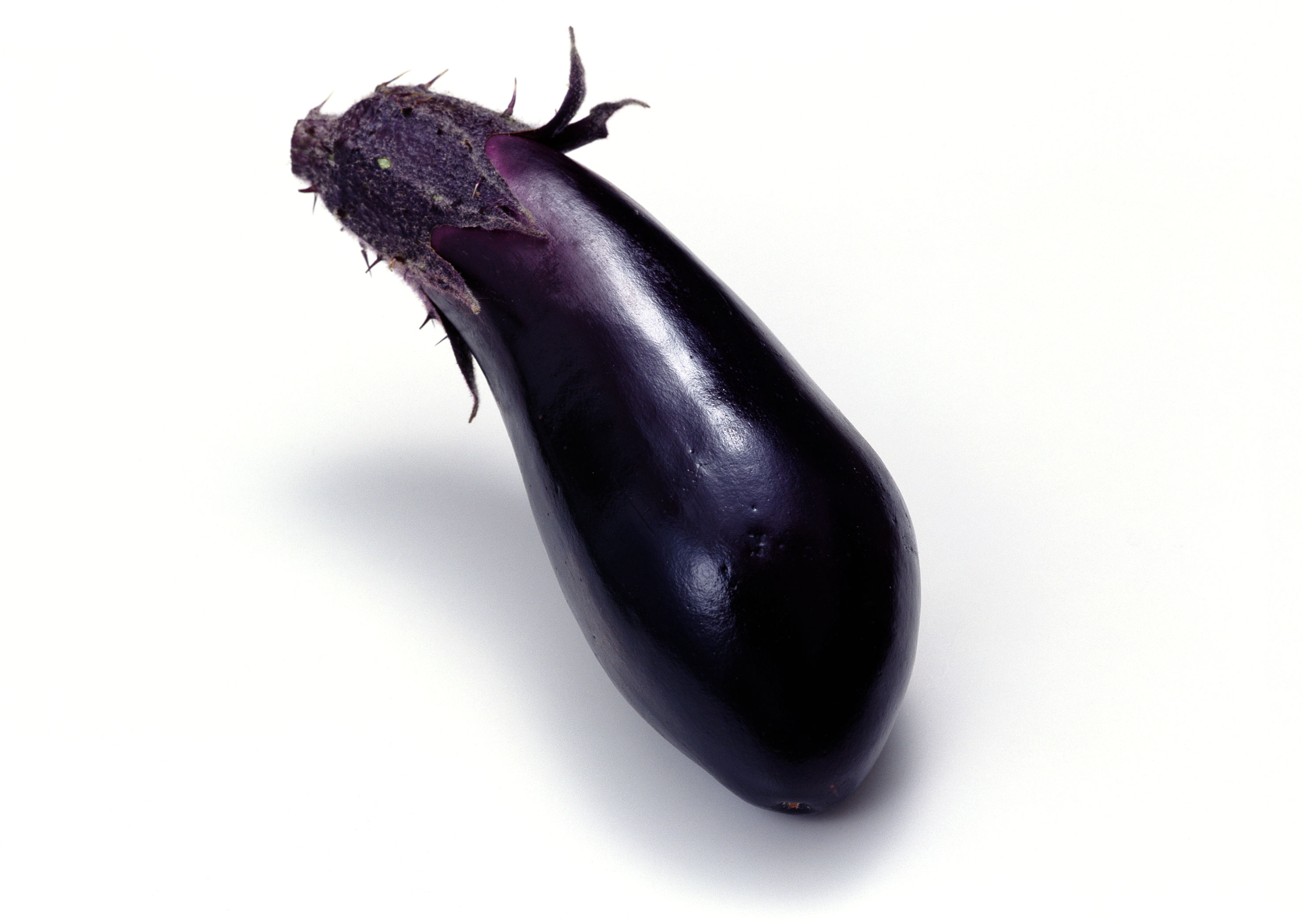 Free download high resolution image - free image free photo free stock image public domain picture -Eggplant isolated on white