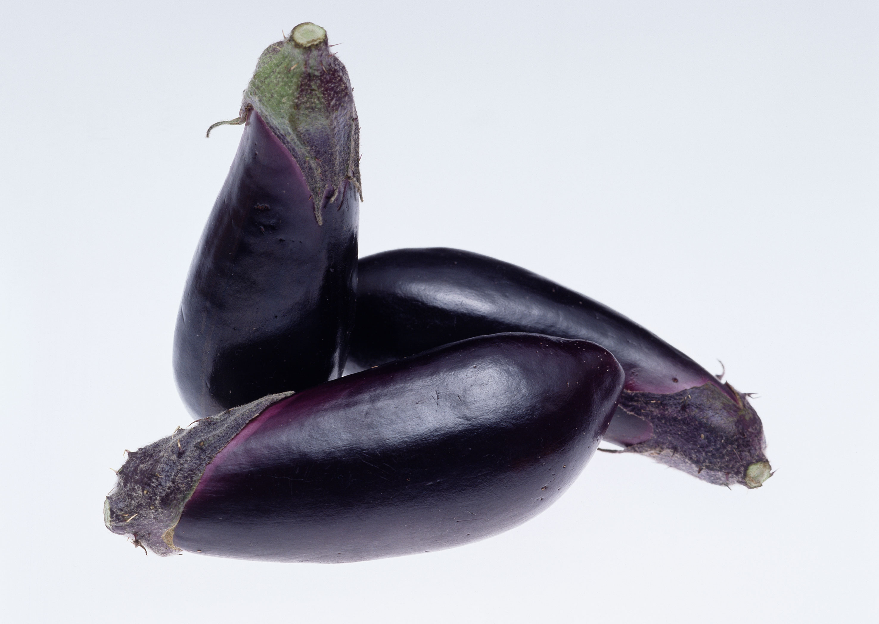 Free download high resolution image - free image free photo free stock image public domain picture -eggplant or aubergine vegetable on white background