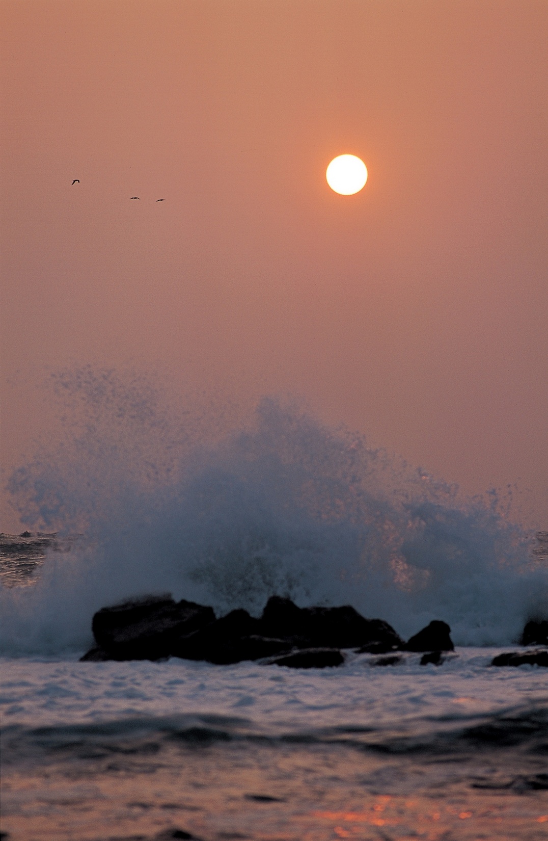 Free download high resolution image - free image free photo free stock image public domain picture -sea sunset