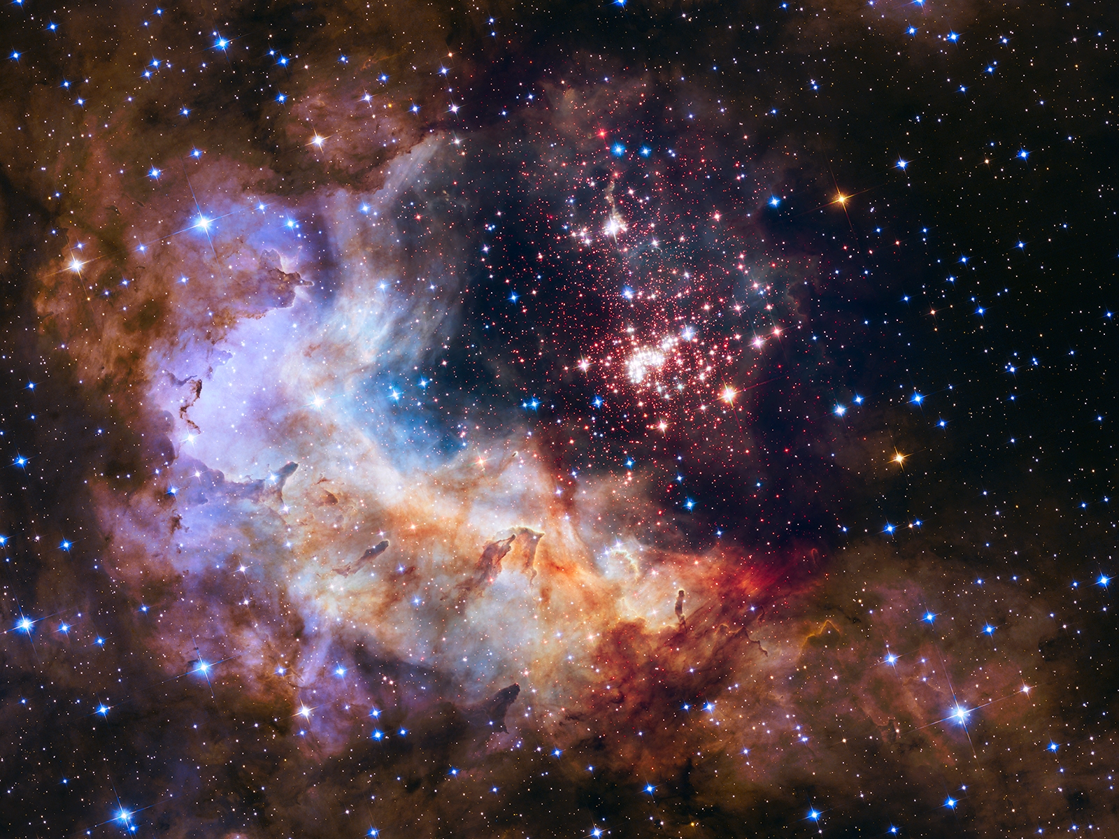 Free download high resolution image - free image free photo free stock image public domain picture -The brilliant tapestry of young stars flaring