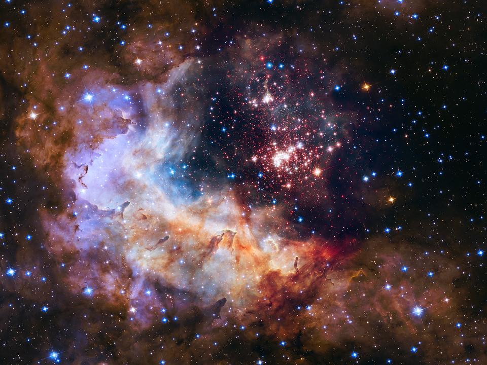 Free download high resolution image - free image free photo free stock image public domain picture  The brilliant tapestry of young stars flaring