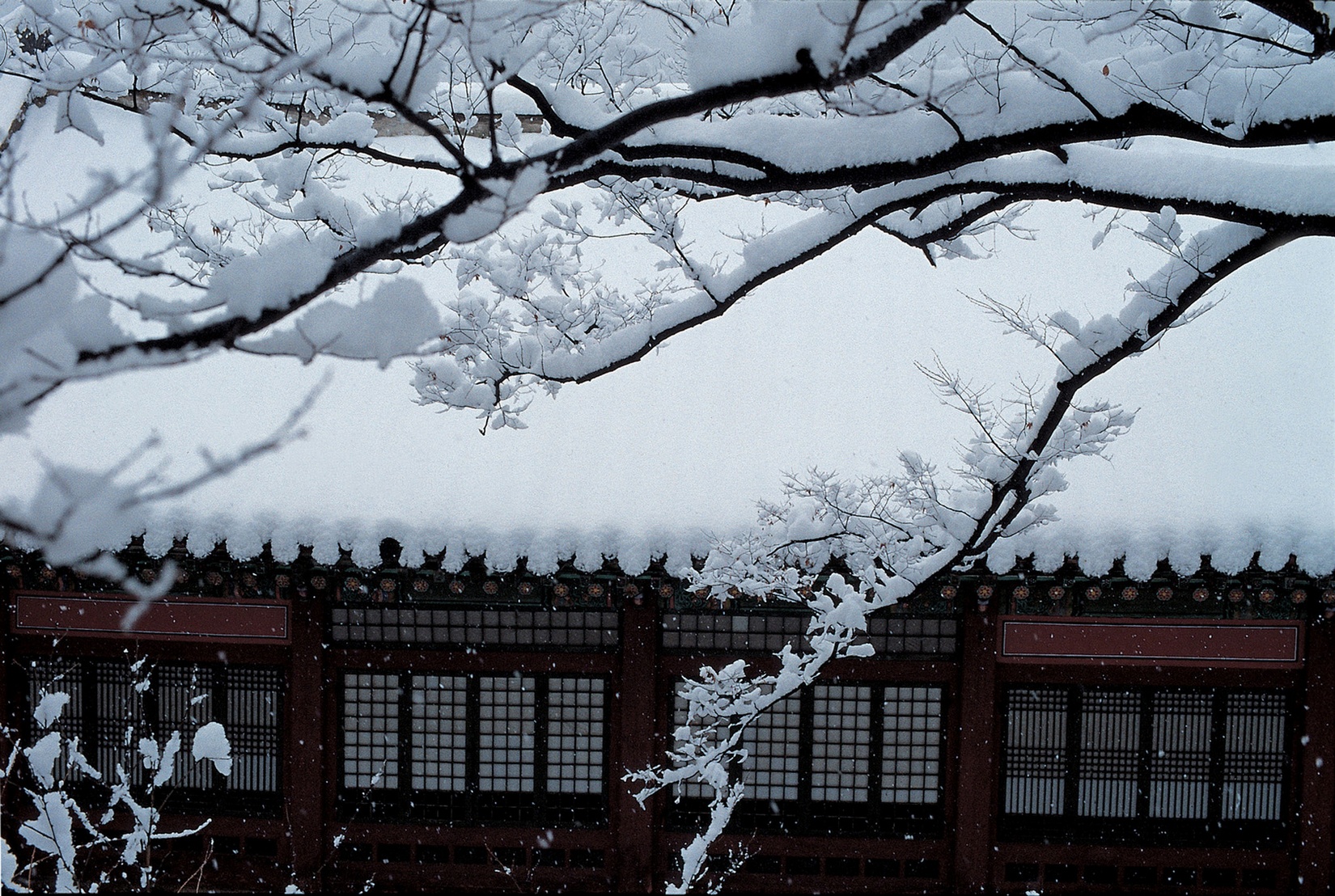 Free download high resolution image - free image free photo free stock image public domain picture -Temple in Korea during snowfall