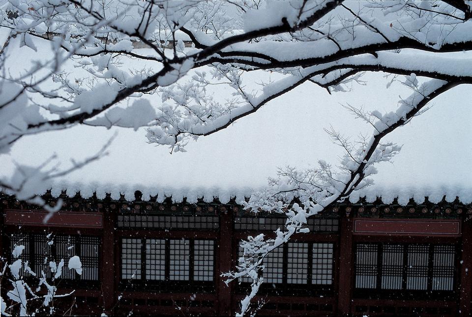 Free download high resolution image - free image free photo free stock image public domain picture  Temple in Korea during snowfall