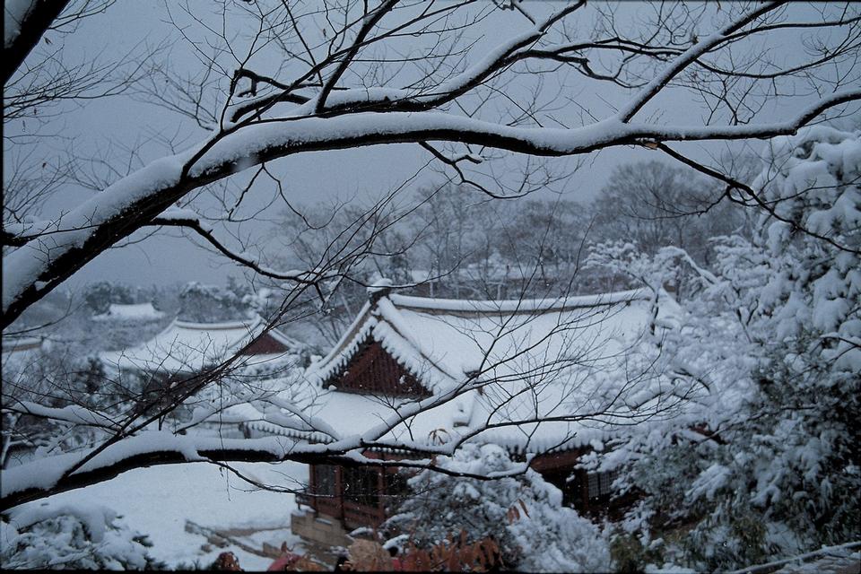 Free download high resolution image - free image free photo free stock image public domain picture  Temple in Korea during snowfall