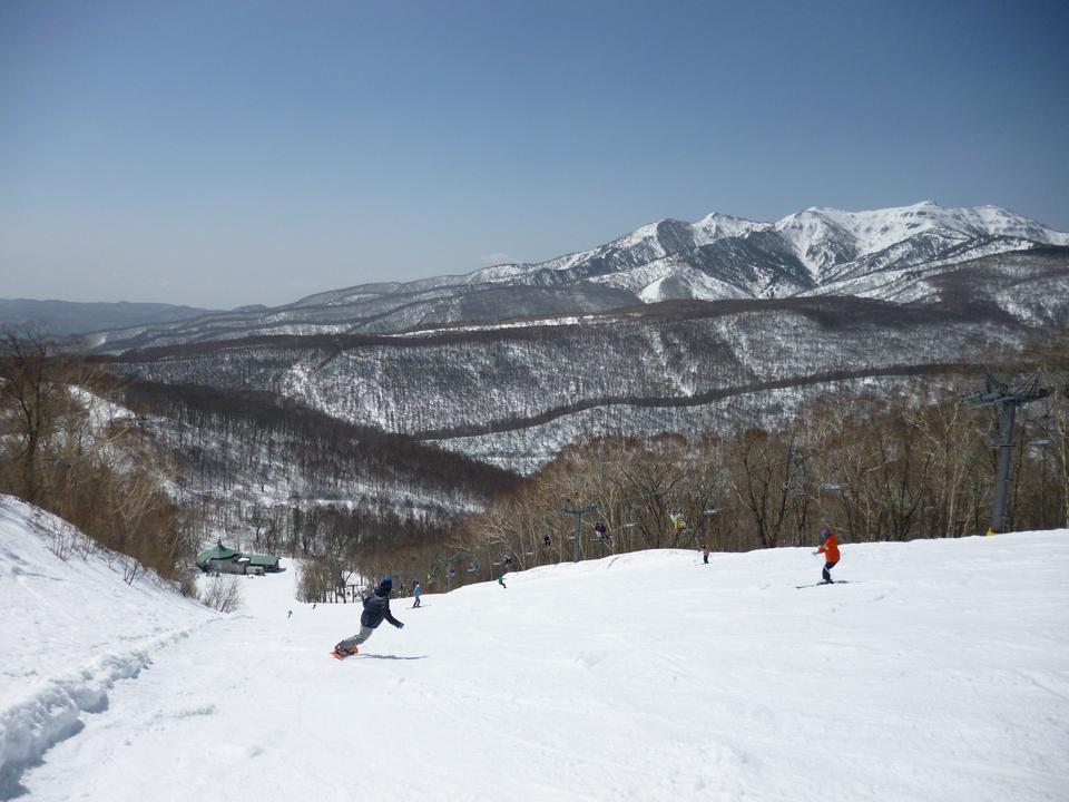 Free download high resolution image - free image free photo free stock image public domain picture  People skis off-piste through birch trees