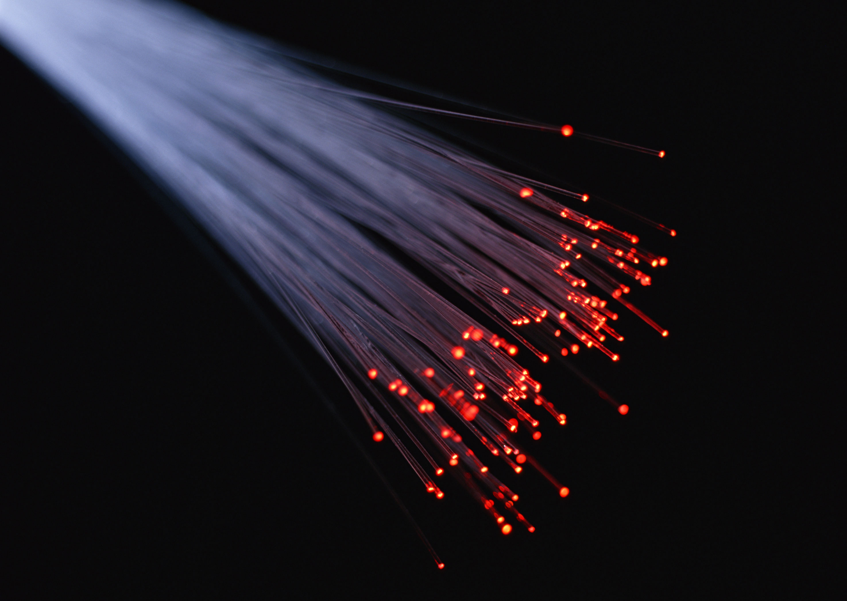 Free download high resolution image - free image free photo free stock image public domain picture -multicolor fiber optics