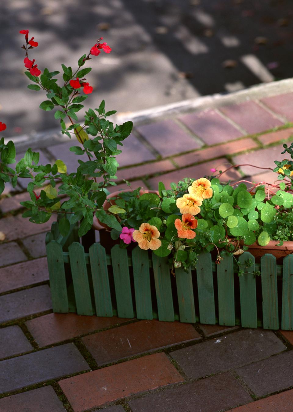 Free download high resolution image - free image free photo free stock image public domain picture  Small pot plant with wooden fence.