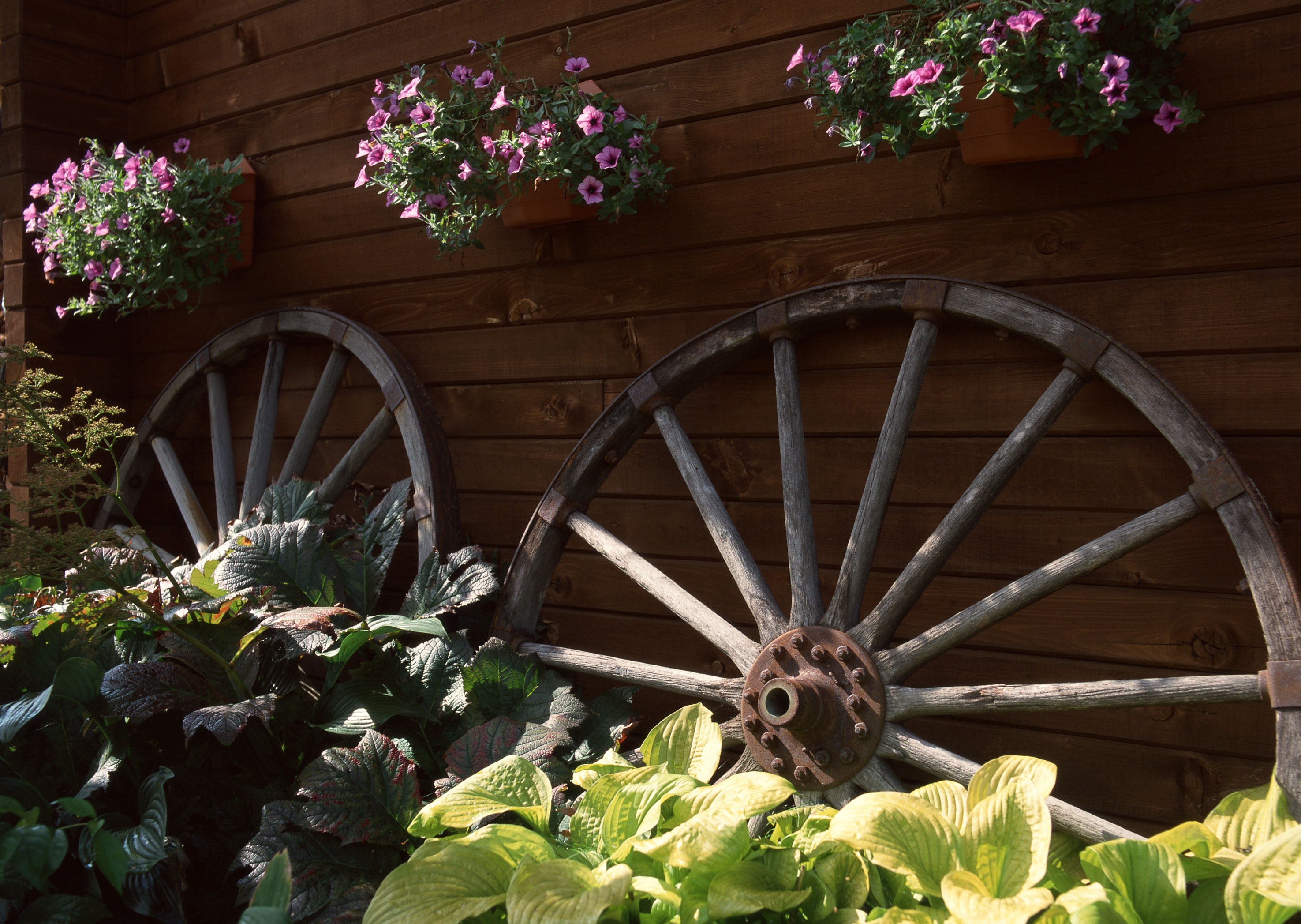 Free download high resolution image - free image free photo free stock image public domain picture -Flowers in terracotta pots for sale in old wooden wheel