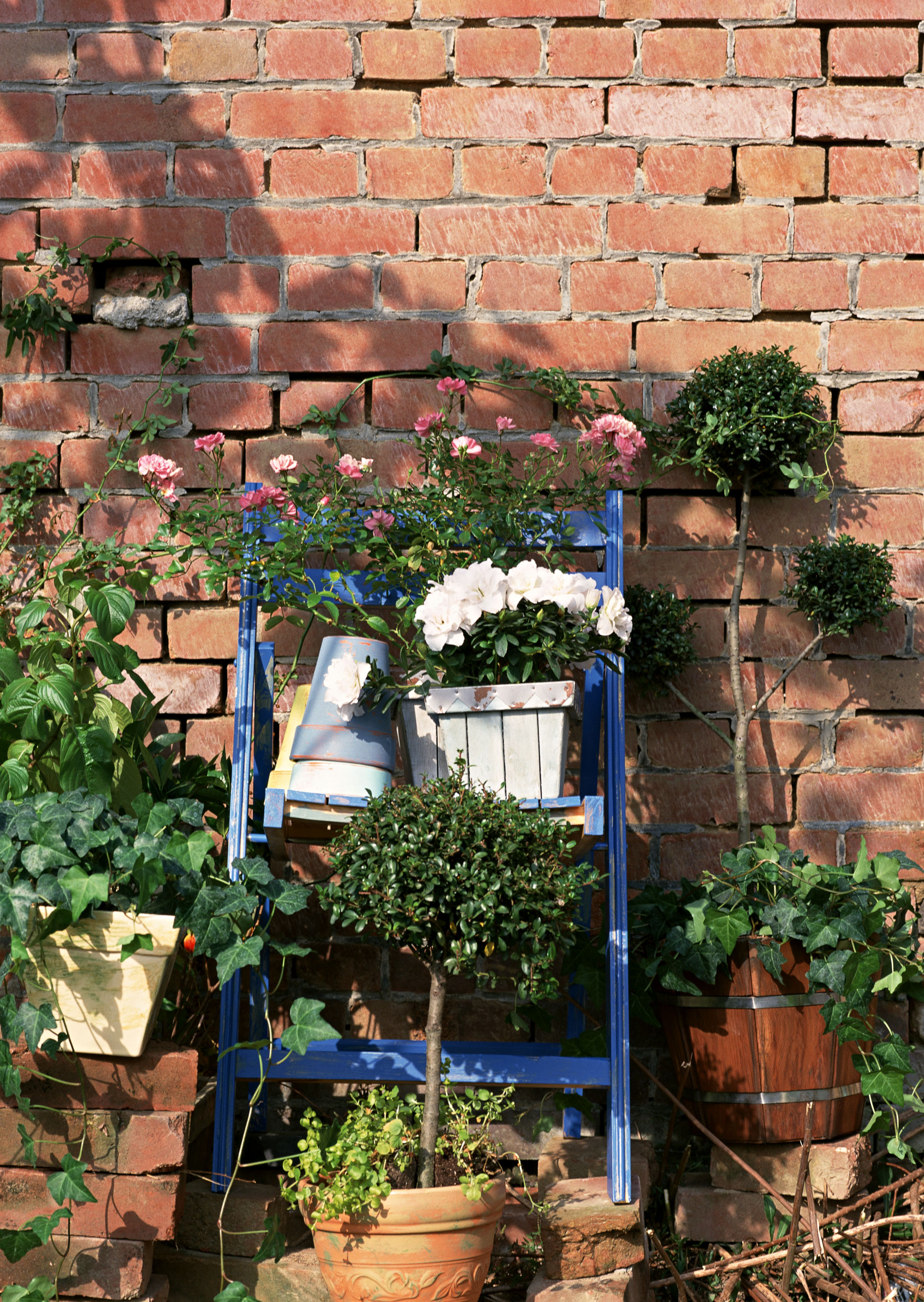 Free download high resolution image - free image free photo free stock image public domain picture -Flowers in pot on chair