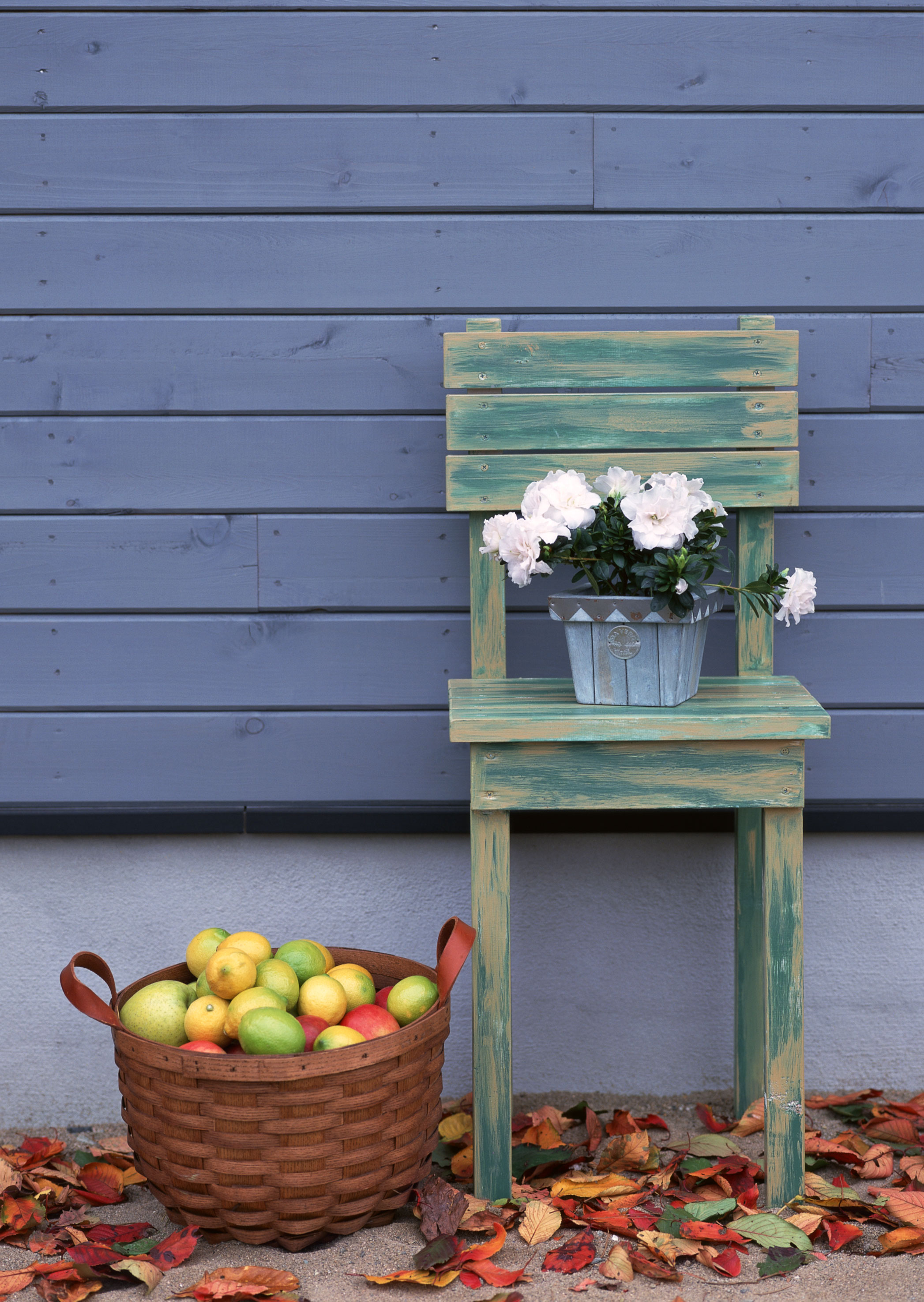 Free download high resolution image - free image free photo free stock image public domain picture -Flower in the wooden pot placed on the metal chair in the garde