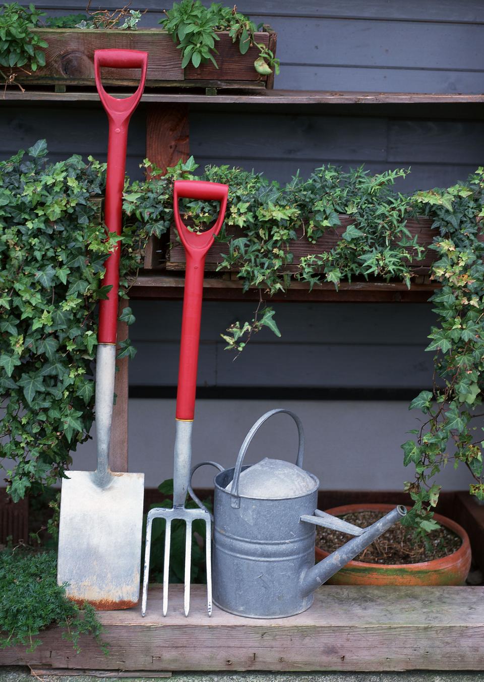 Free download high resolution image - free image free photo free stock image public domain picture  Garden tools and watering can with ivy