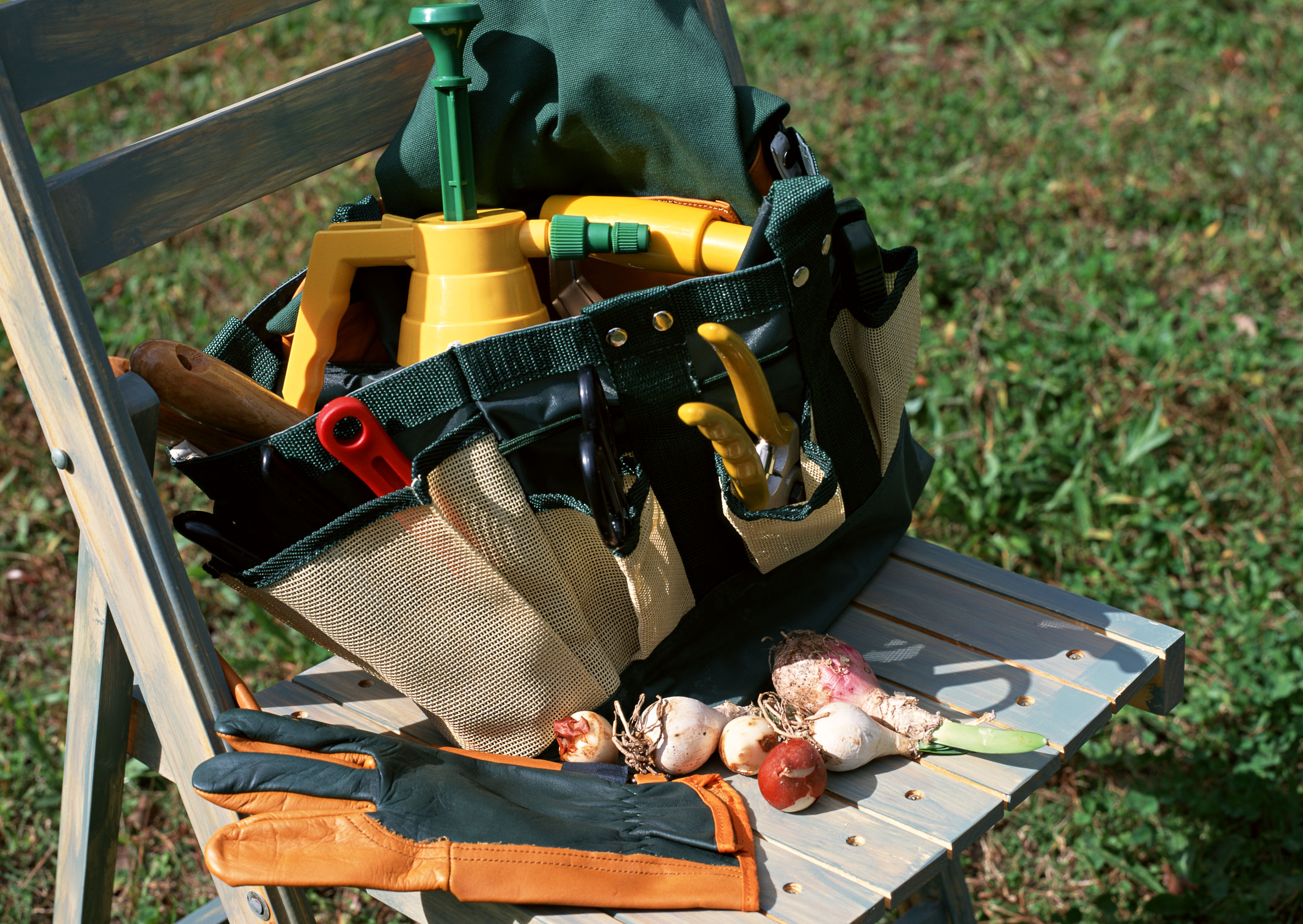 Free download high resolution image - free image free photo free stock image public domain picture -Garden tools on green grass background