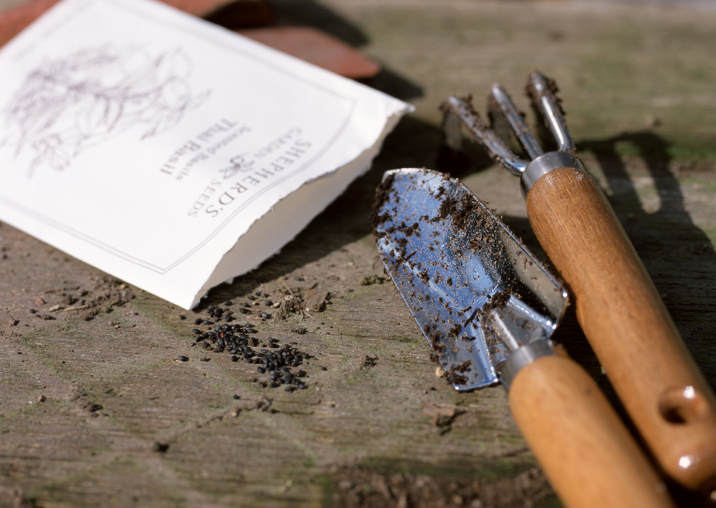 Free download high resolution image - free image free photo free stock image public domain picture -Seed with garden tools.