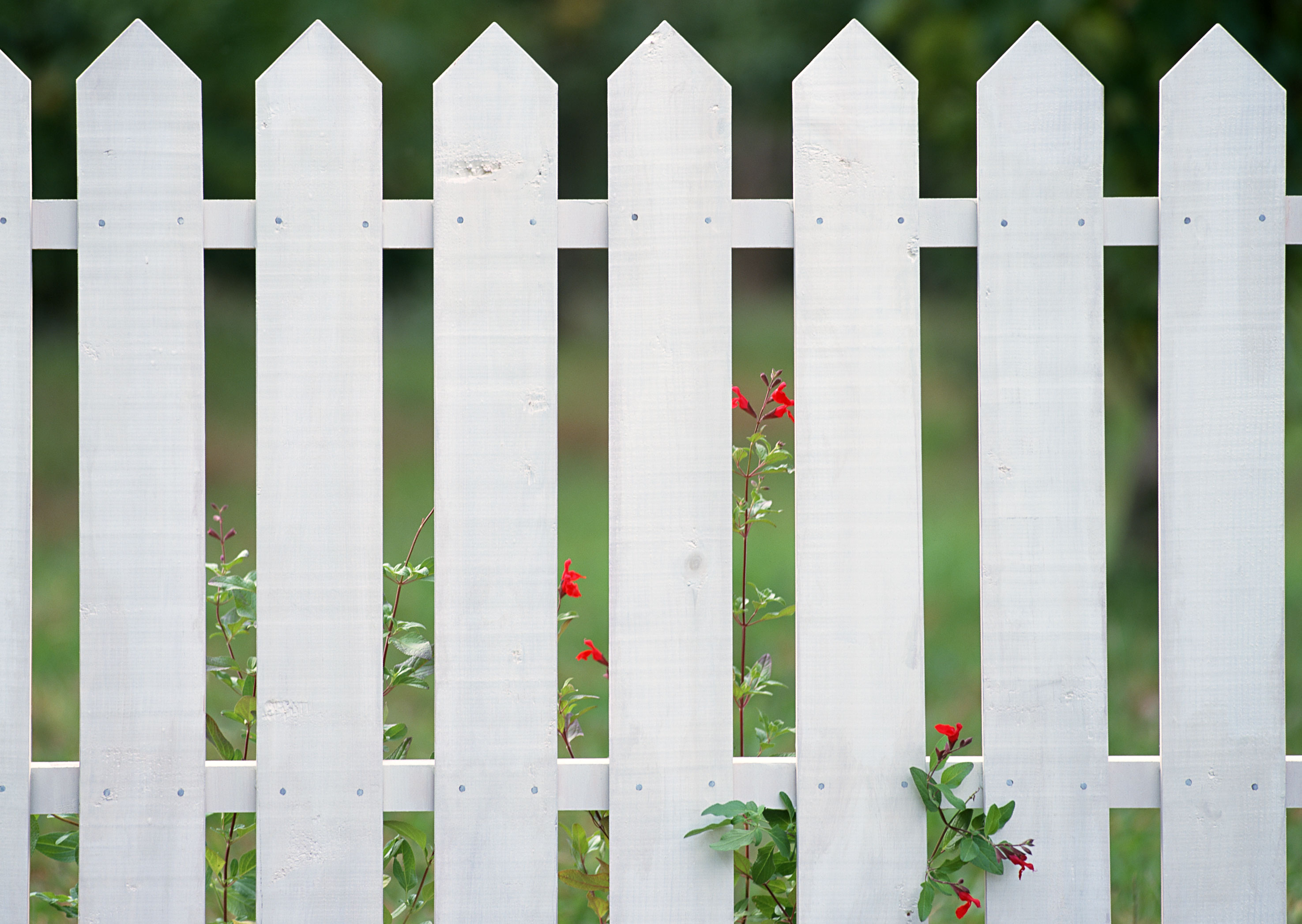 Free download high resolution image - free image free photo free stock image public domain picture -White fences on green grass