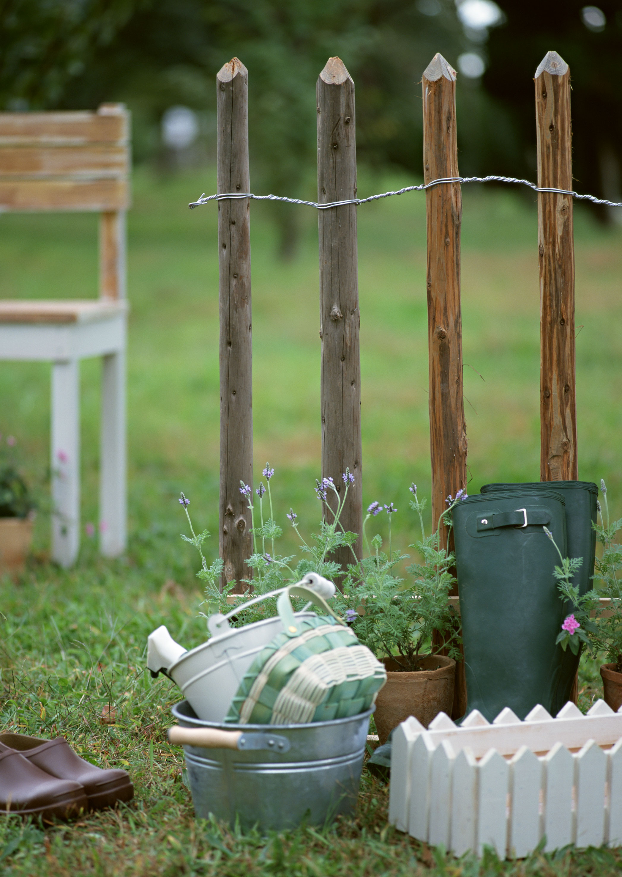 Free download high resolution image - free image free photo free stock image public domain picture -Gardening tools on grass on wooden background