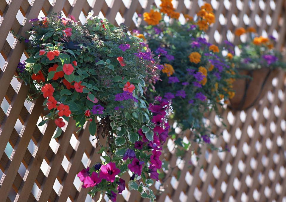 Free download high resolution image - free image free photo free stock image public domain picture  Vases on a balcony