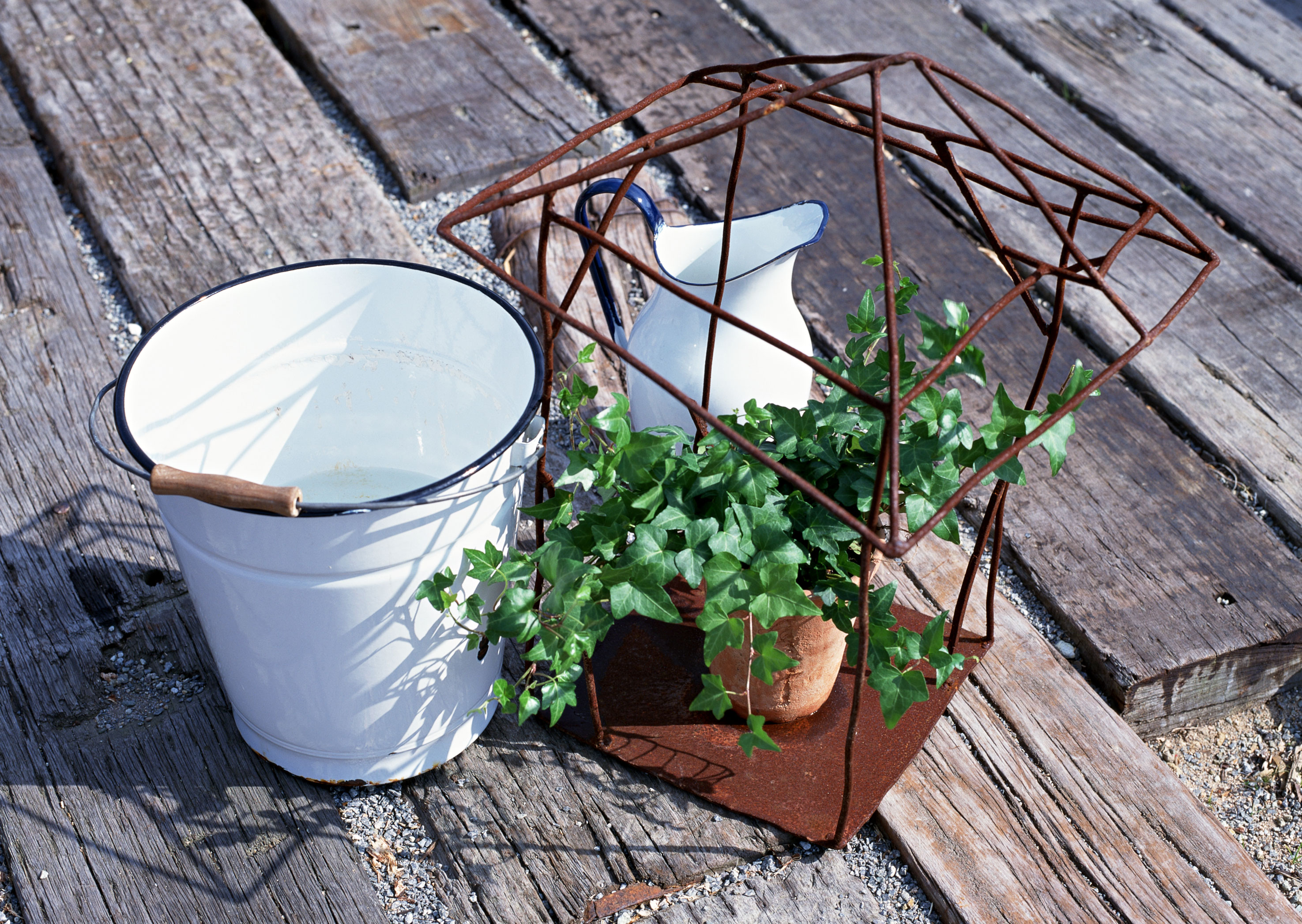 Free download high resolution image - free image free photo free stock image public domain picture -Green ivy in flowerpot