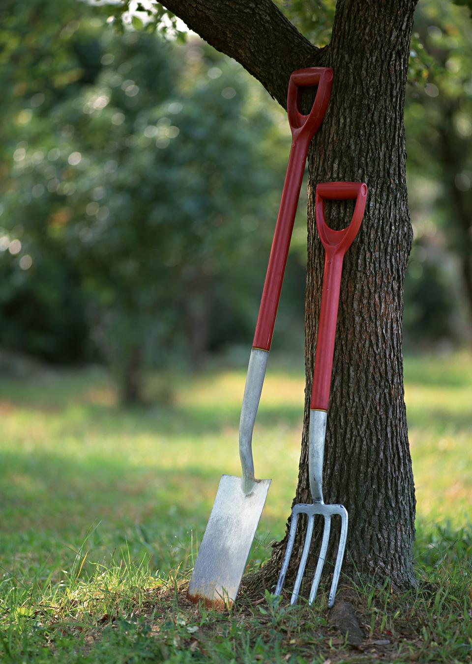 Free download high resolution image - free image free photo free stock image public domain picture  Gardening tools on tree