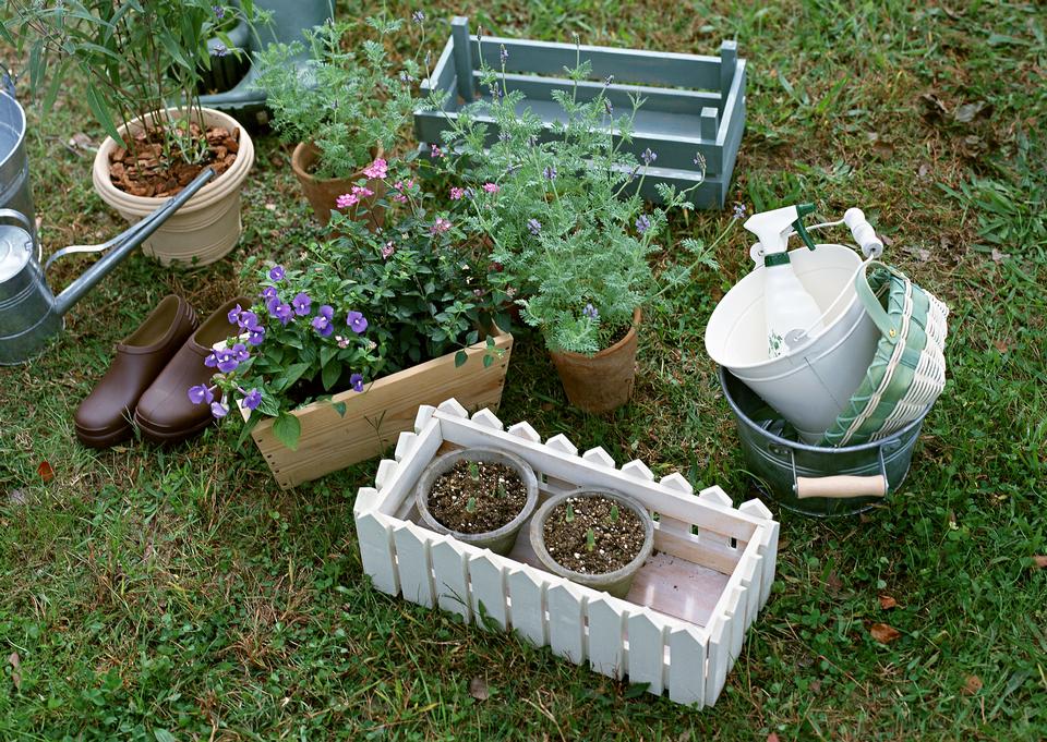 Free download high resolution image - free image free photo free stock image public domain picture  Garden tools on grass in yard