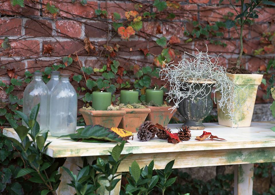 Free download high resolution image - free image free photo free stock image public domain picture  Gardening still life with flower pots, gardening tools, and plant