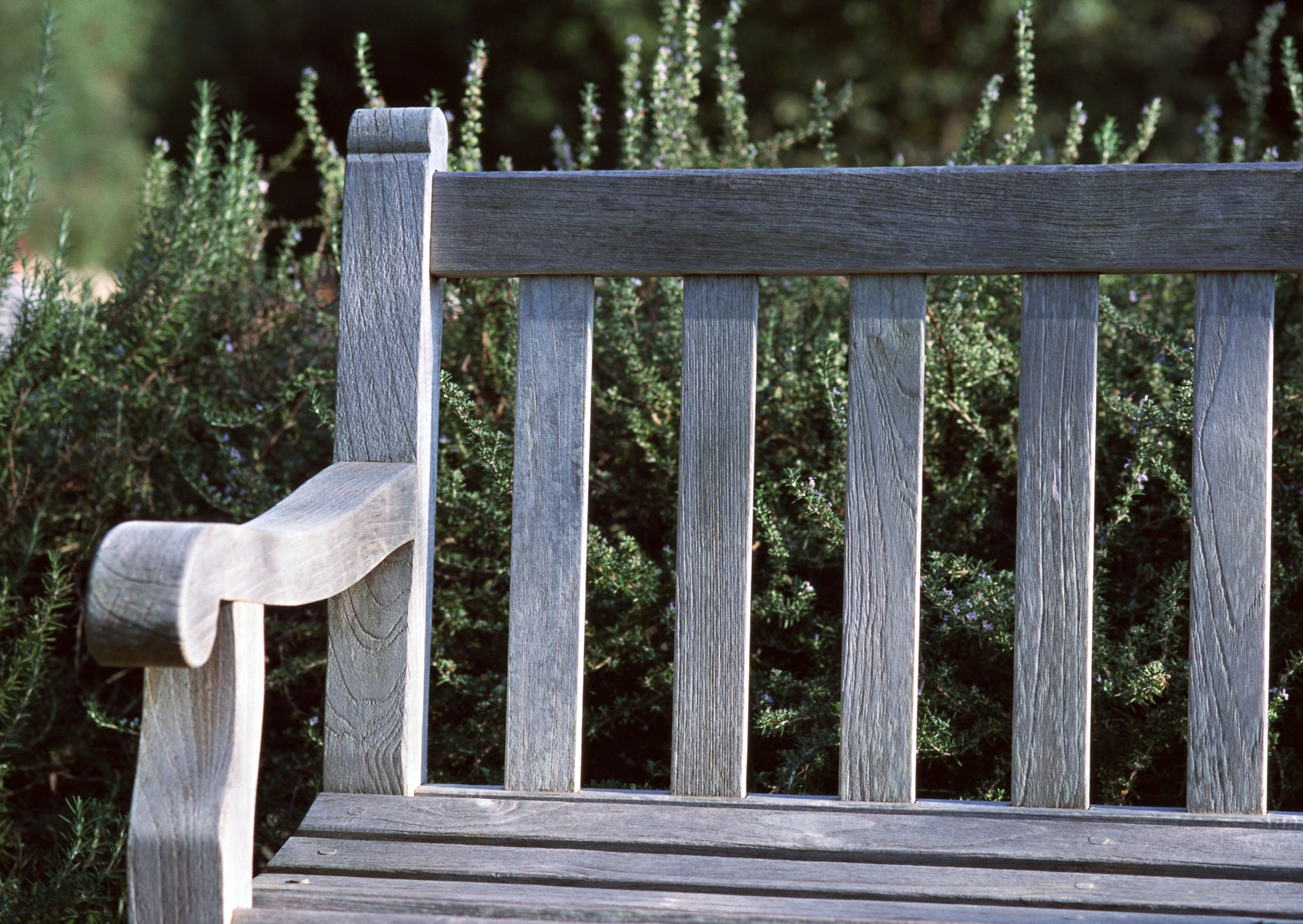 Free download high resolution image - free image free photo free stock image public domain picture -Old bench in garden