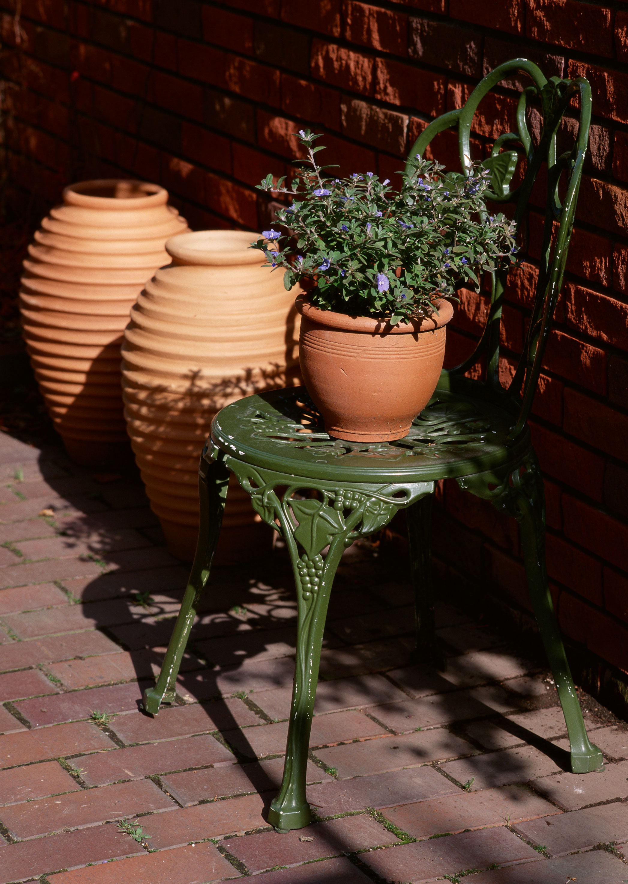 Free download high resolution image - free image free photo free stock image public domain picture -beautiful flower decoration and old chair