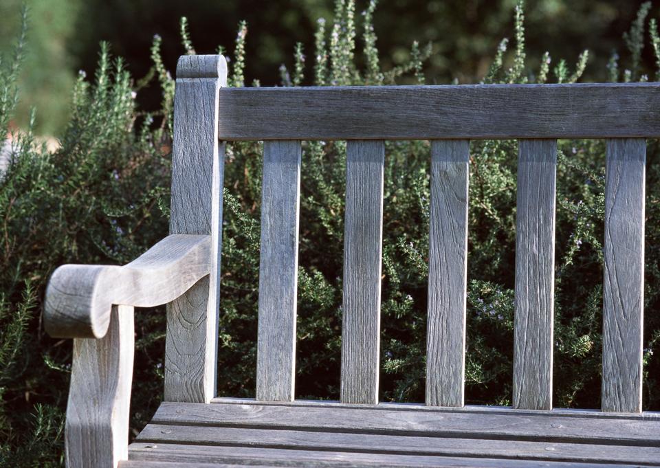 Free download high resolution image - free image free photo free stock image public domain picture  Old bench in garden