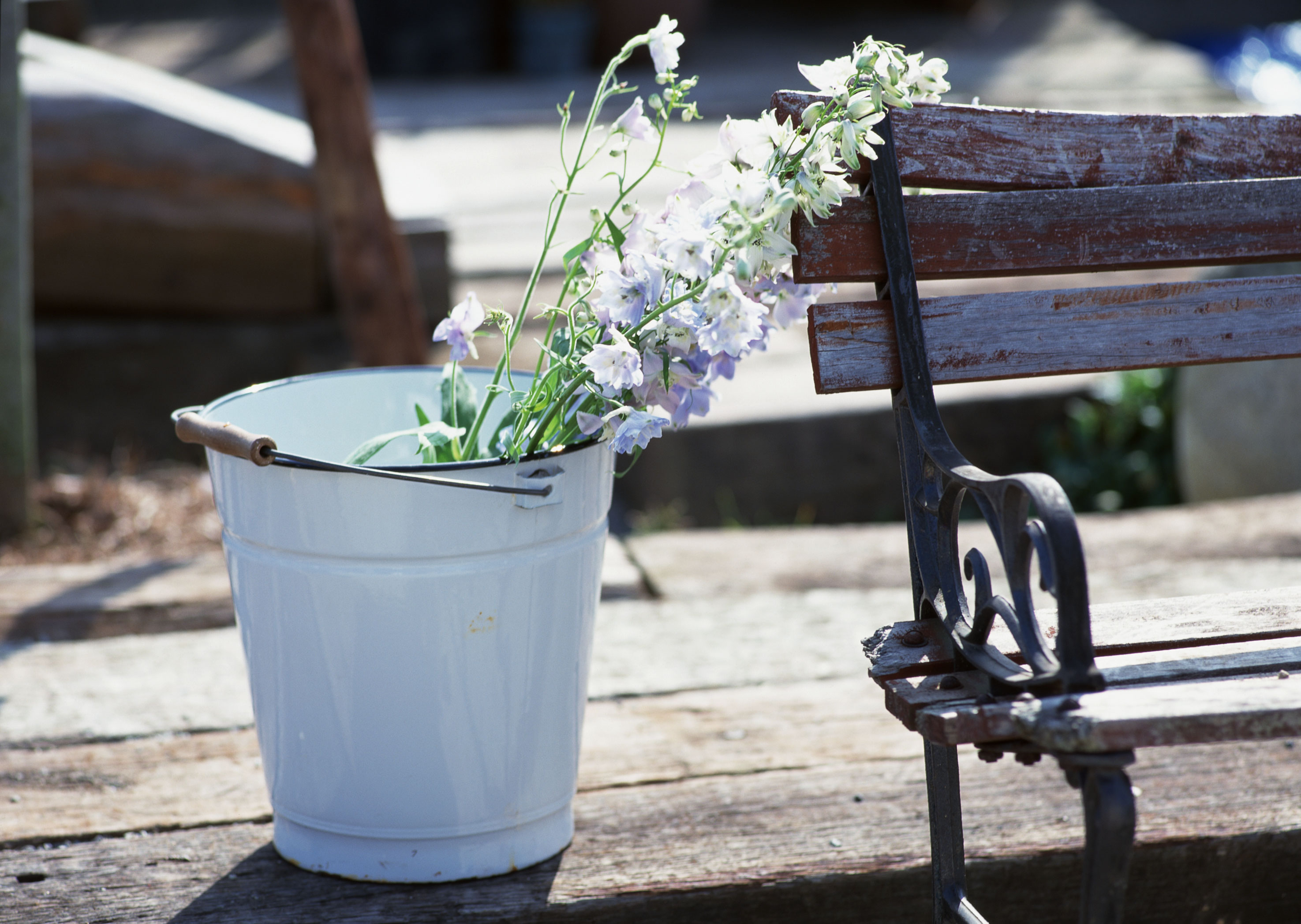 Free download high resolution image - free image free photo free stock image public domain picture -baskets of flowers.