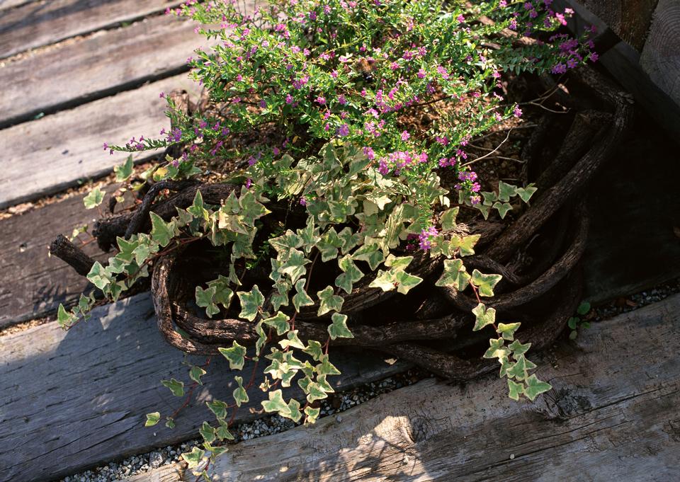 Free download high resolution image - free image free photo free stock image public domain picture  On the patio