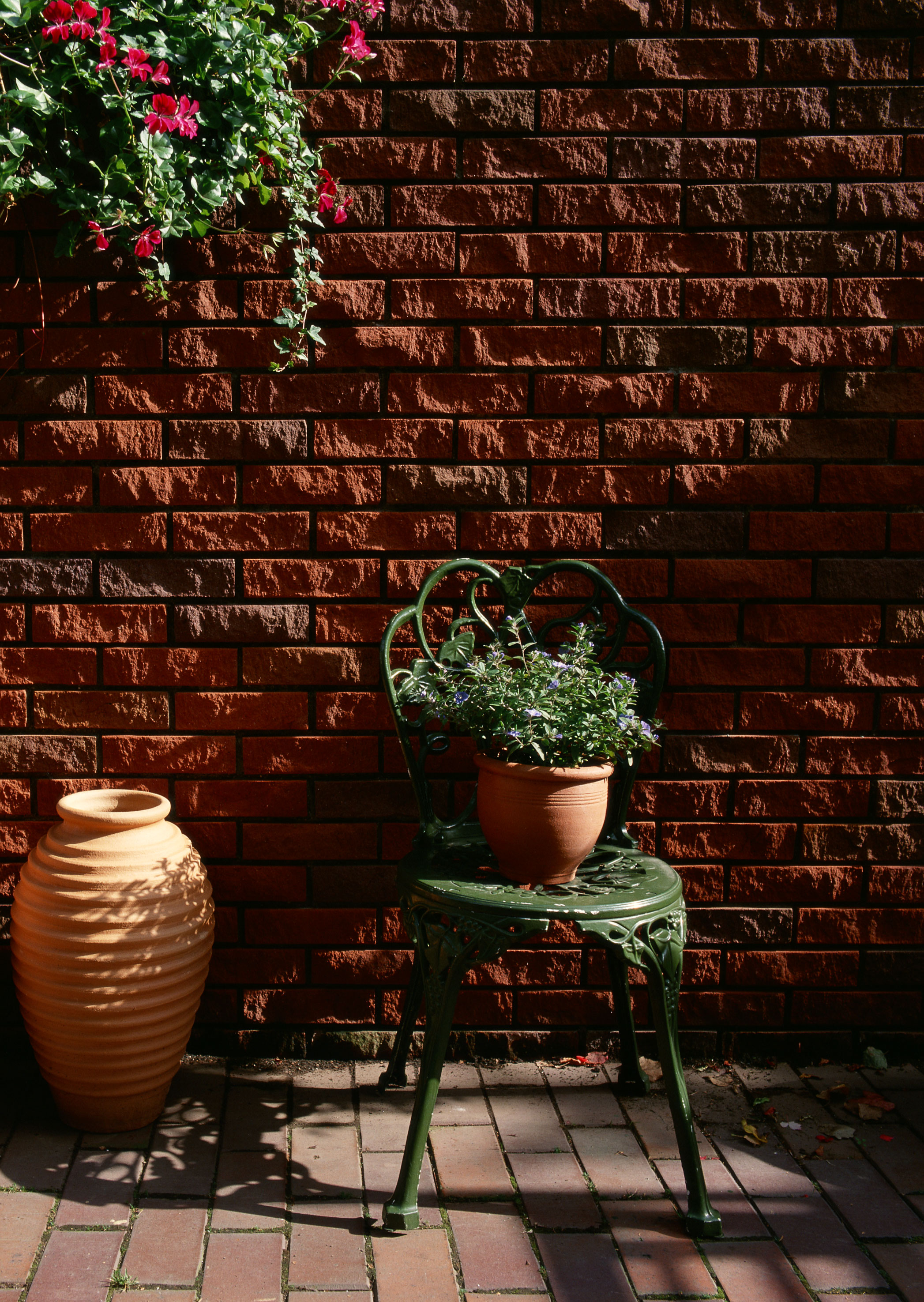 Free download high resolution image - free image free photo free stock image public domain picture -Flowers in pot on chair on bricks background