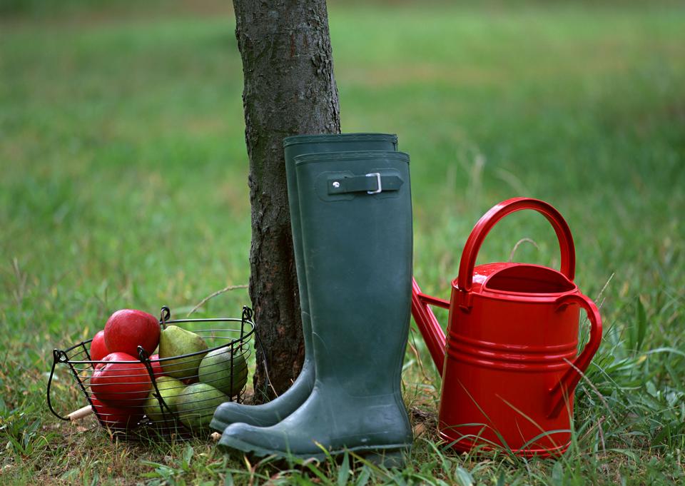 Free download high resolution image - free image free photo free stock image public domain picture  Gardening tools on grass