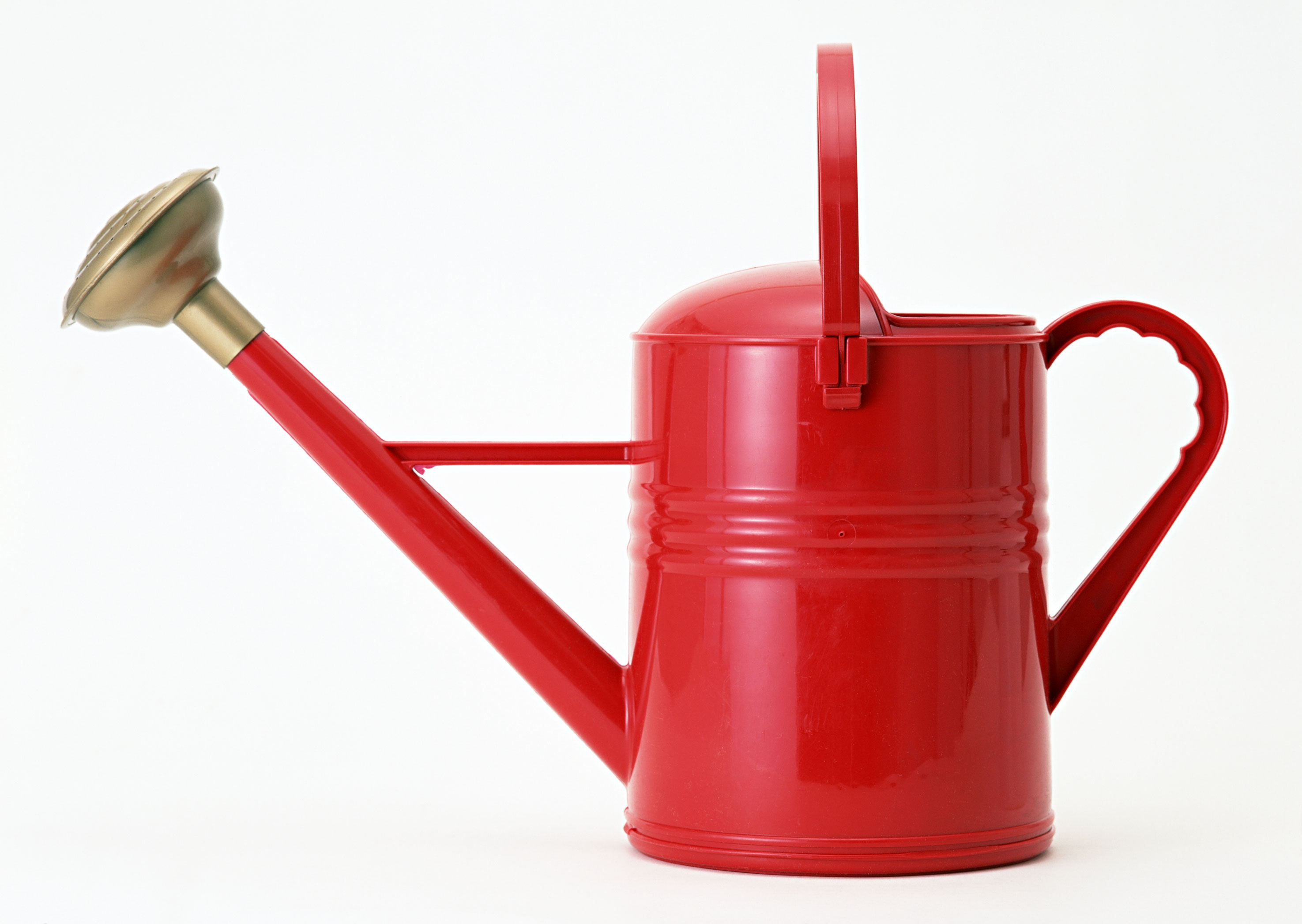 Free download high resolution image - free image free photo free stock image public domain picture -Red watering can