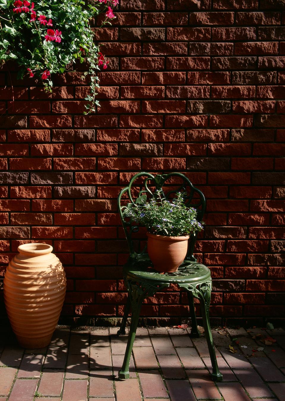 Free download high resolution image - free image free photo free stock image public domain picture  Flowers in pot on chair on bricks background